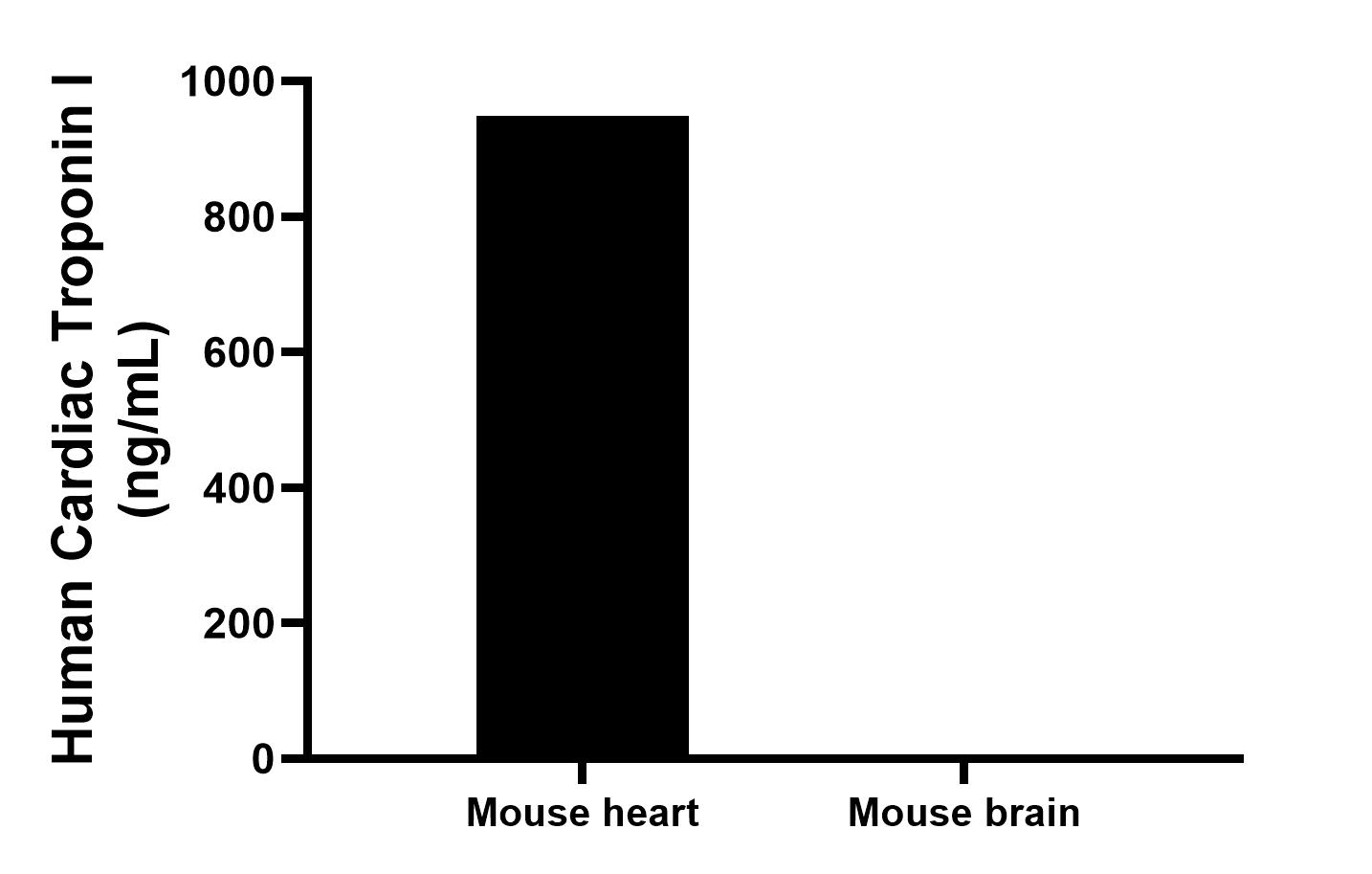 The mean Cardiac Troponin I concentration was determined to be 948.1 ng/mL in mouse heart tissue extract based on a 5.4 mg/mL extract load, mouse brain tissue extract were served as a negative control.