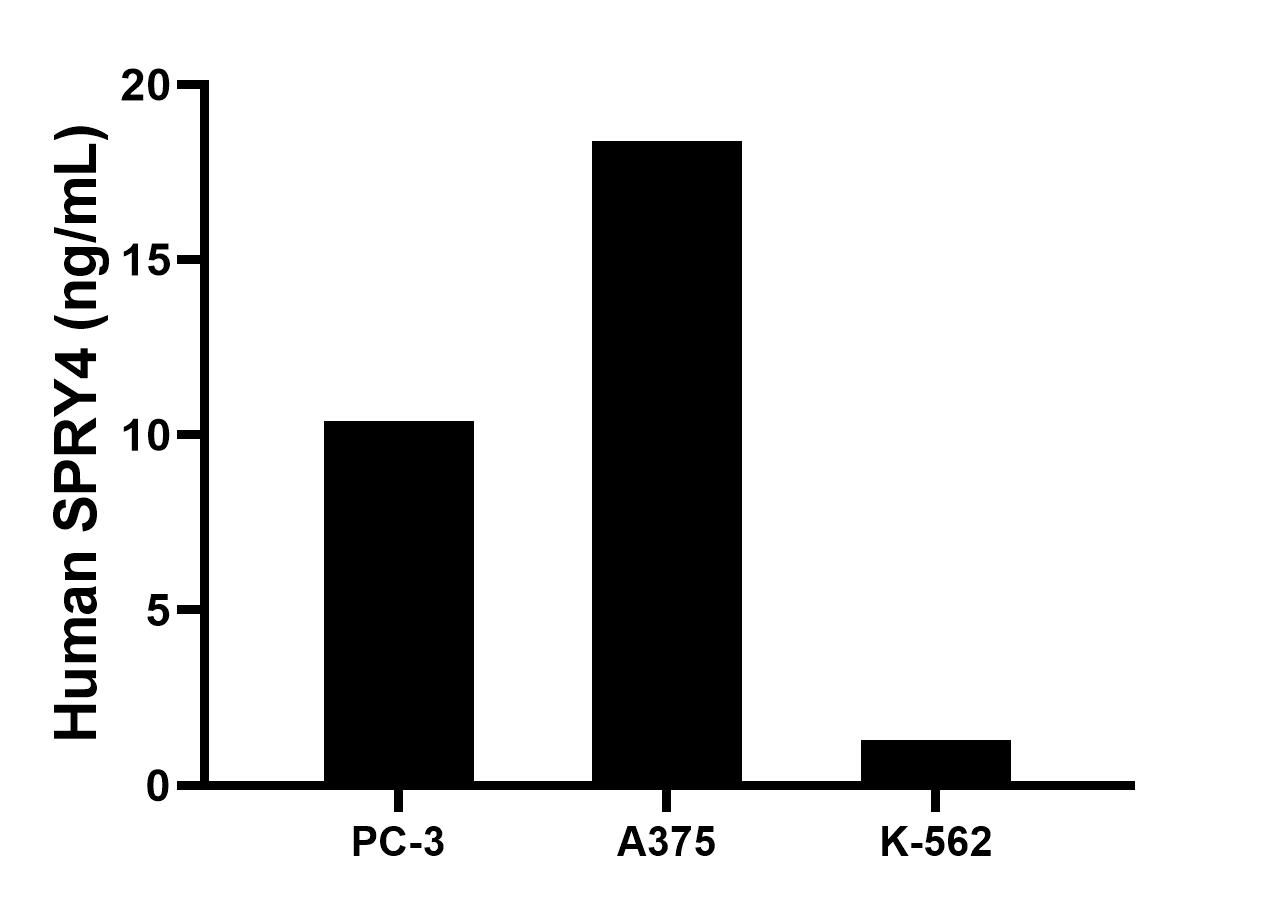 Cytometric bead array sample test of MP03152-1 Cytometric bead array sample test of MP03152-1