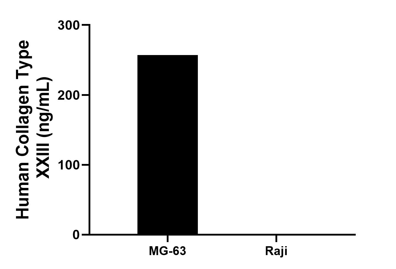 The mean Collagen Type XXIII concentration was determined to be 257.0 ng/mL in MG-63 cell extract based on a 1.2 mg/mL extract load, Raji cell extract were served as a negative control. Cytometric bead array sample test of MP03156-1