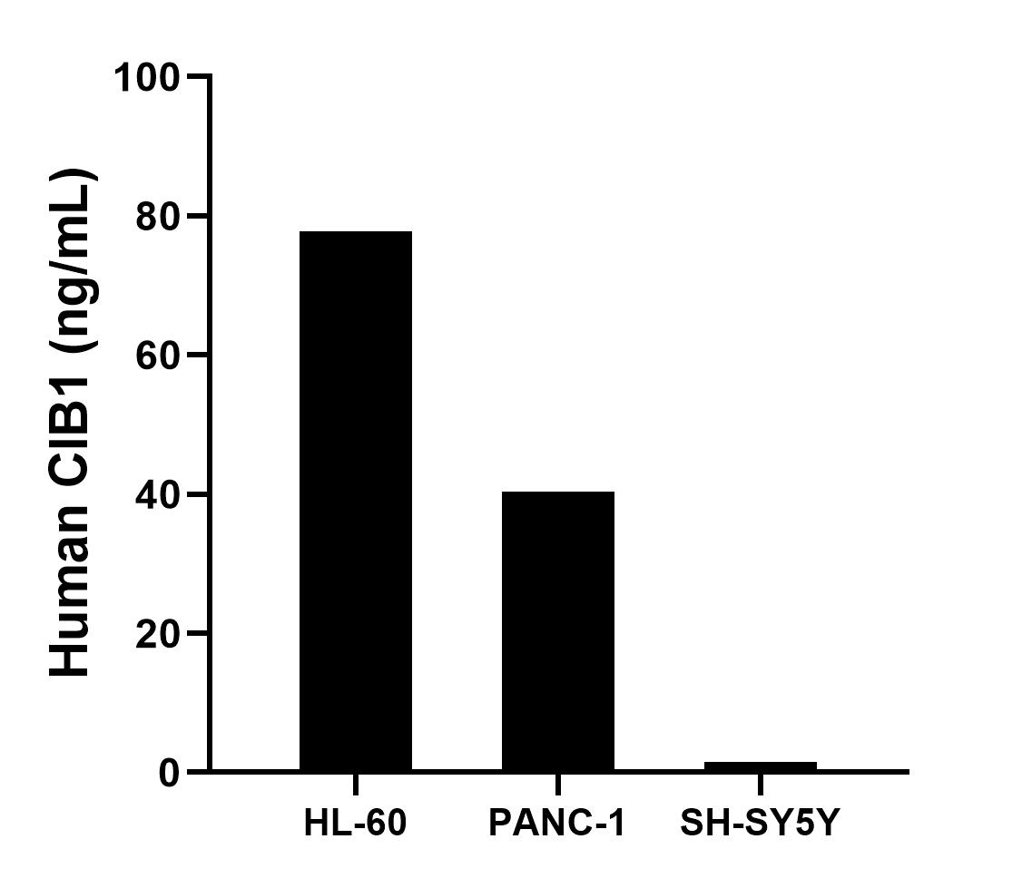 Cytometric bead array sample test of MP03171-1 Cytometric bead array sample test of MP03171-1