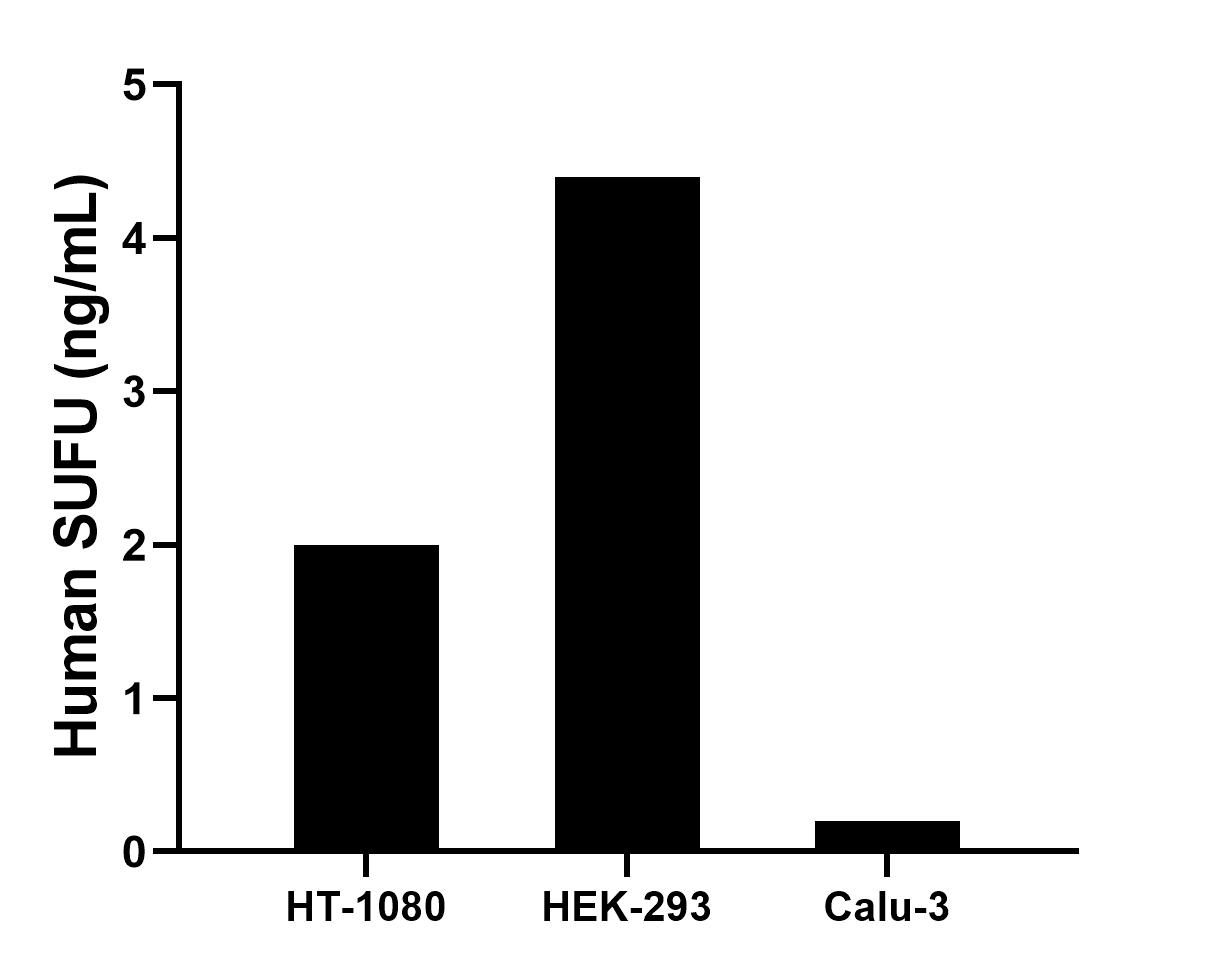 Cytometric bead array sample test of MP03174-1