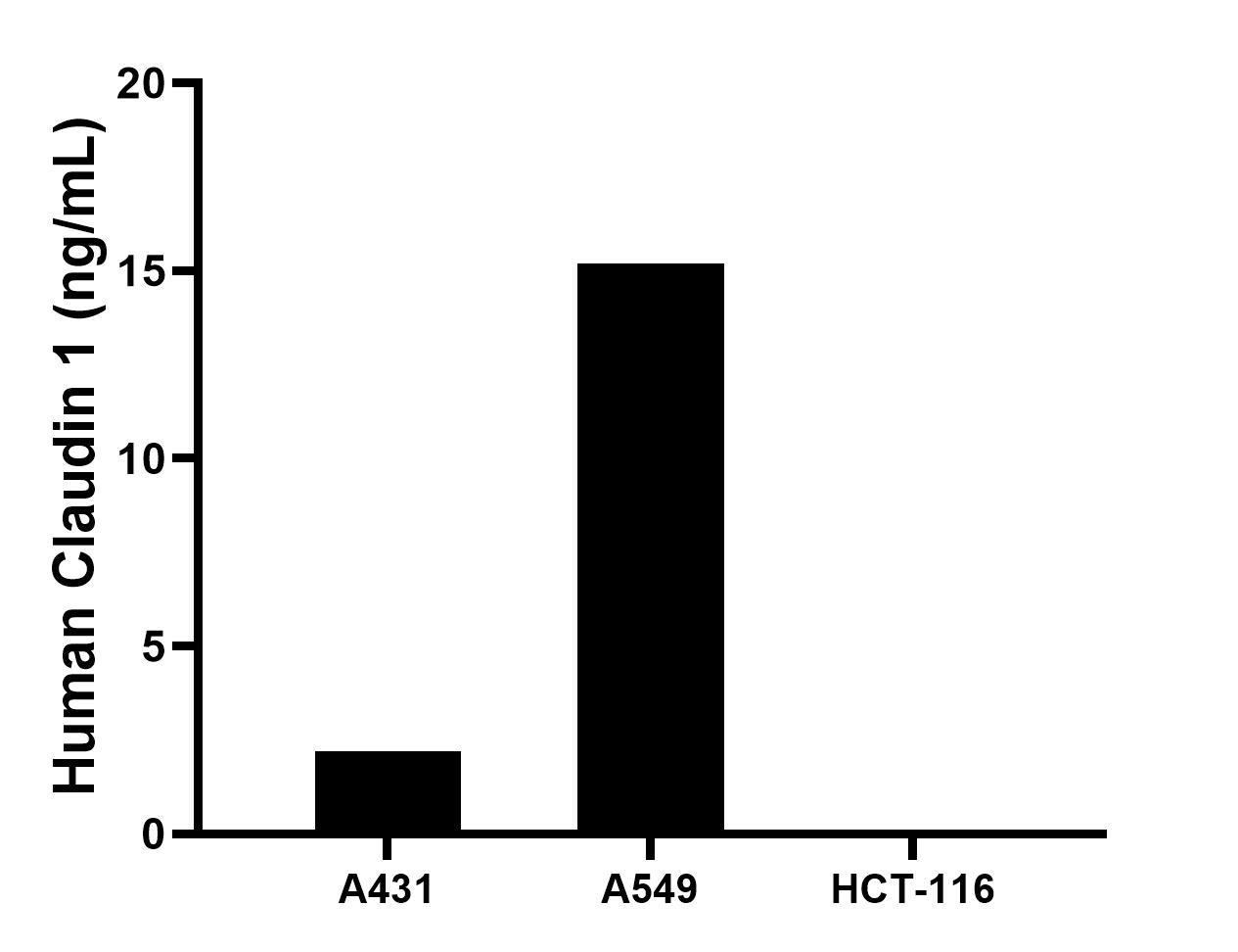 The mean Claudin 1 concentration was determined to be 2.2 ng/mL in A431 cell extract based on a 1.5 mg/mL extract load, 15.2 ng/mL in A549 cell extract based on a 1.2 mg/mL extract load, HCT-116 cell extract were served as a negative control. The mean Claudin 1 concentration was determined to be 2.2 ng/mL in A431 cell extract based on a 1.5 mg/mL extract load, 15.2 ng/mL in A549 cell extract based on a 1.2 mg/mL extract load, HCT-116 cell extract were served as a negative control.