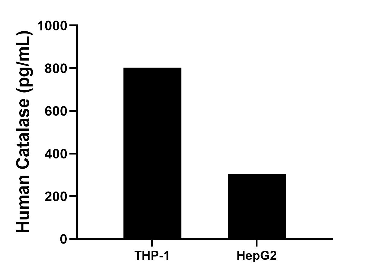 Cytometric bead array sample test of MP03219-1 Cytometric bead array sample test of MP03219-1