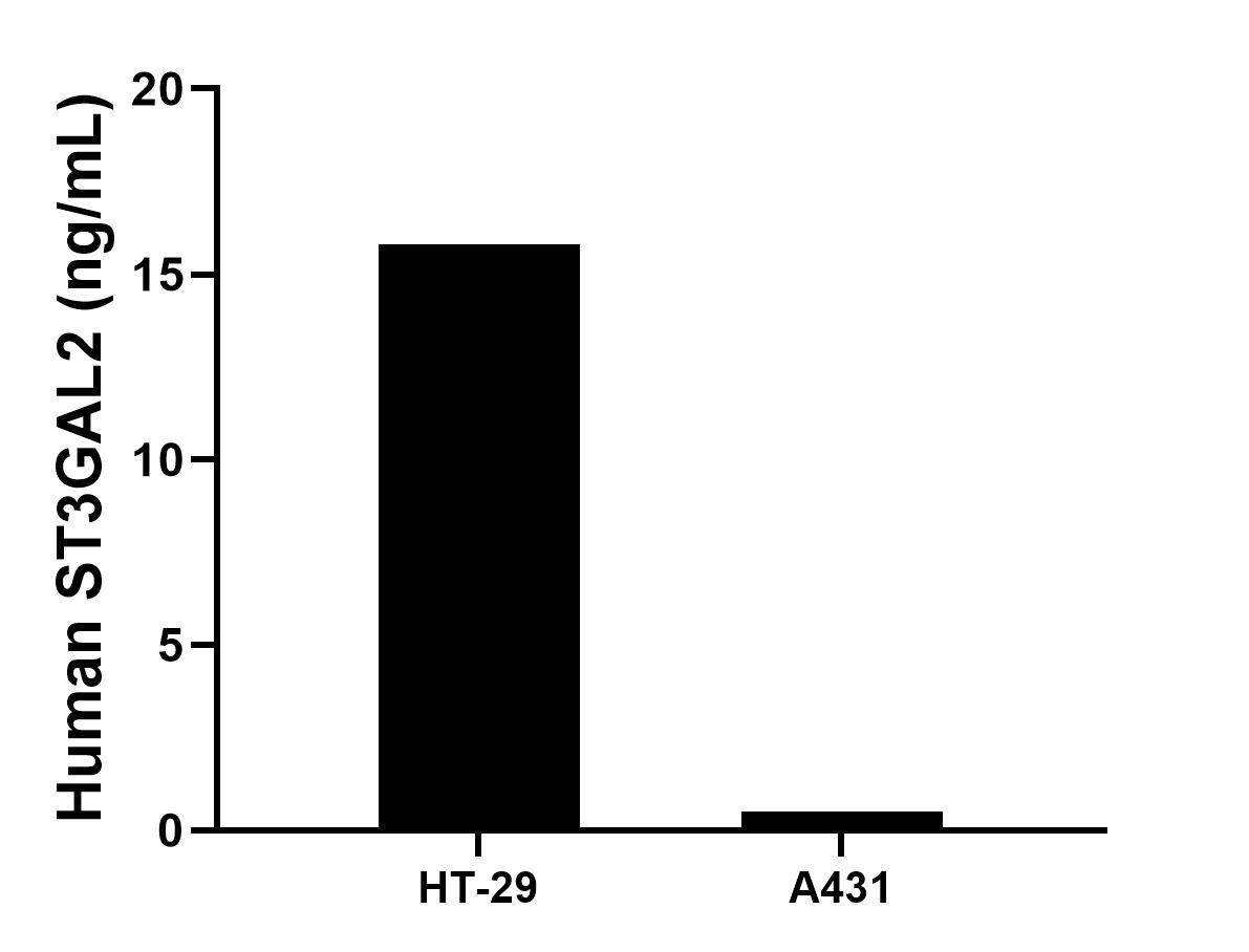 Cytometric bead array sample test of MP03241-1 Cytometric bead array sample test of MP03241-1