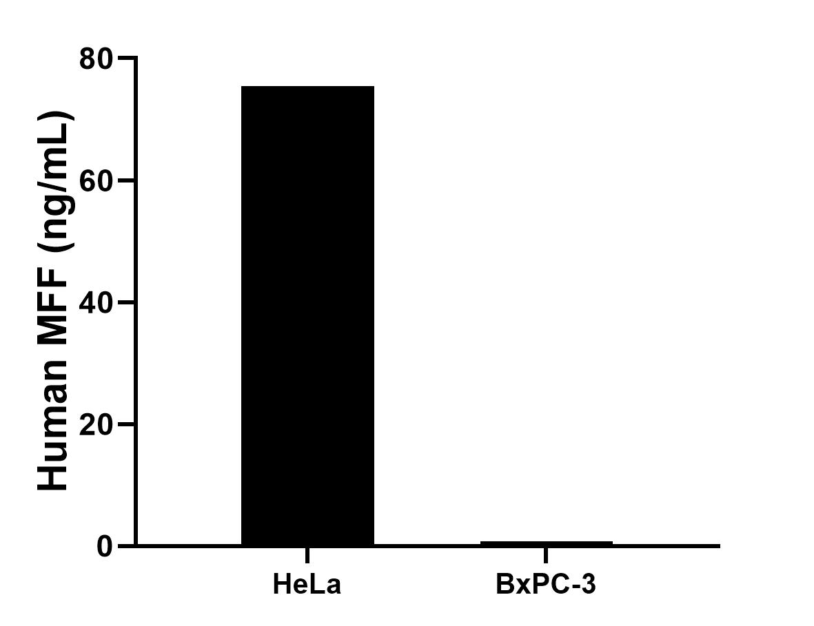 Cytometric bead array sample test of MP03305-1