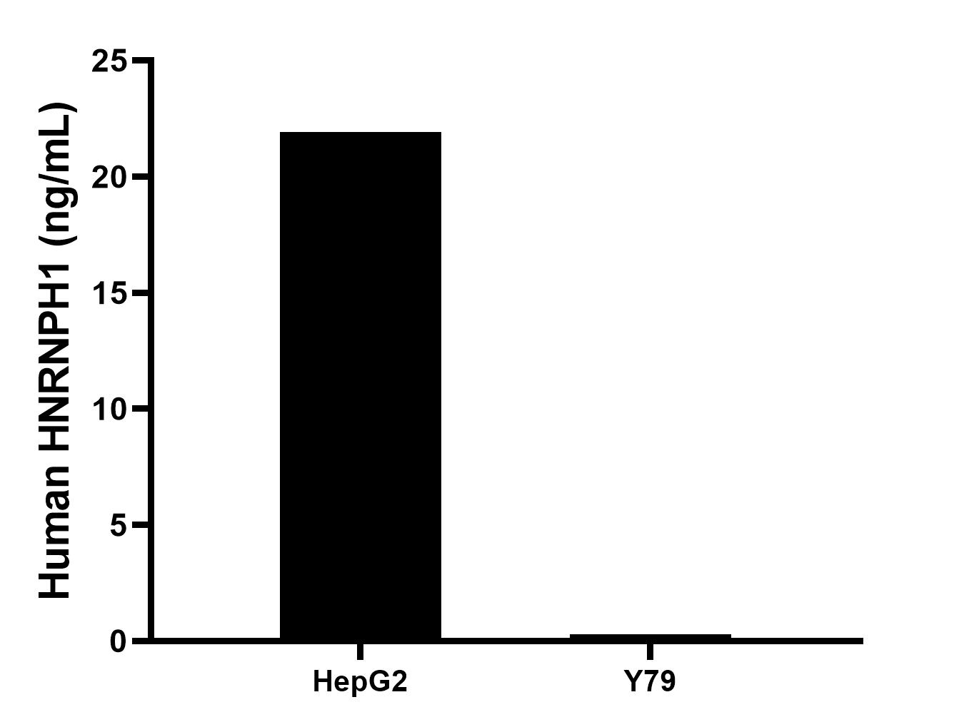 The mean HNRNPH1 concentration was determined to be 21.9 ng/mL in HepG2 cell extract based on a 1.2 mg/mL extract load, 0.3 ng/mL in Y79 cell extract based on a 1.1 mg/mL extract load.