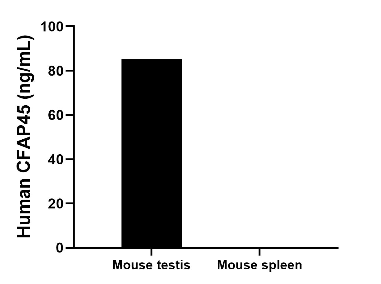 Cytometric bead array sample test of MP03337-1