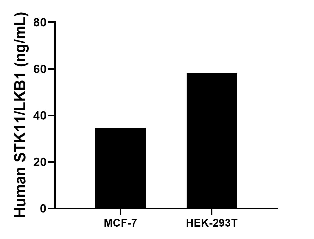 Cytometric bead array sample test of MP03339-1