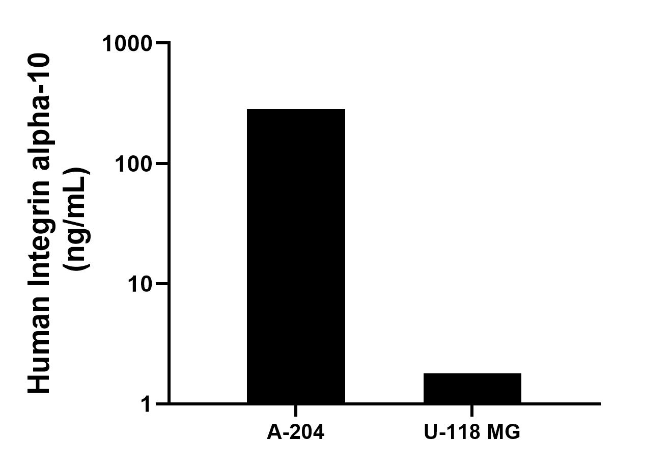 Cytometric bead array sample test of MP03362-1 Cytometric bead array sample test of MP03362-1