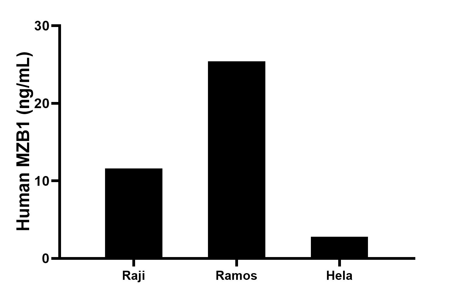 The mean MZB1 concentration was determined to be 11.6 ng/mL in Raji cell extract based on a 1.0 mg/mL extract load, 25.4 ng/mL in Ramos cell extract based on a 1.0 mg/mL extract load, 2.8 ng/mL in Hela cell extract based on a 1.0 mg/mL extract load. The mean MZB1 concentration was determined to be 11.6 ng/mL in Raji cell extract based on a 1.0 mg/mL extract load, 25.4 ng/mL in Ramos cell extract based on a 1.0 mg/mL extract load, 2.8 ng/mL in Hela cell extract based on a 1.0 mg/mL extract load.