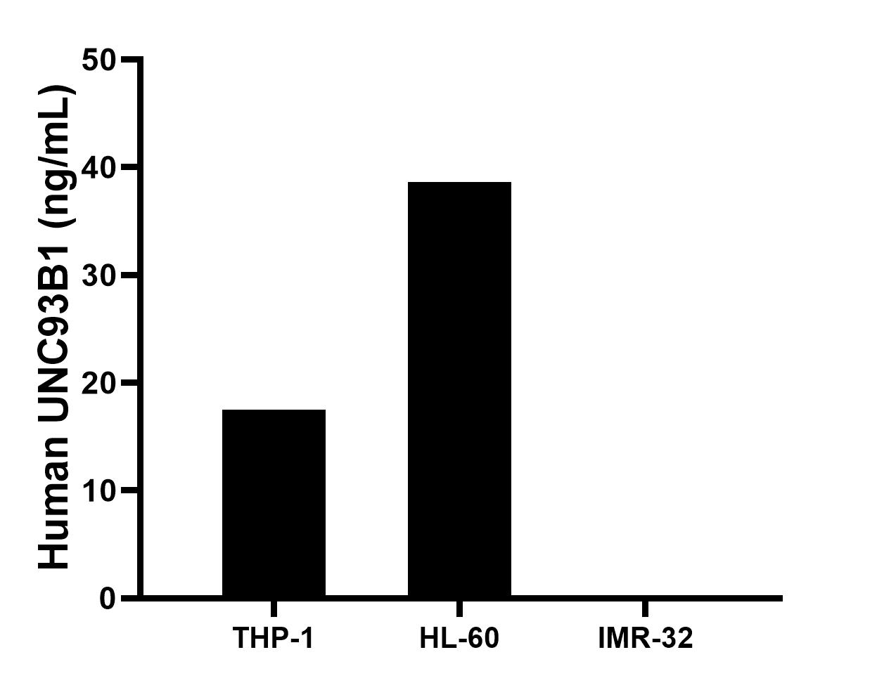The mean UNC93B1 concentration was determined to be 17.5 ng/mL in THP-1 cell extract based on a 1.0 mg/mL extract load, 38.6 ng/mL in HL-60 cell extract based on a 1.0 mg/mL extract load, IMR-32 cell extract were served as a negative control. The mean UNC93B1 concentration was determined to be 17.5 ng/mL in THP-1 cell extract based on a 1.0 mg/mL extract load, 38.6 ng/mL in HL-60 cell extract based on a 1.0 mg/mL extract load, IMR-32 cell extract were served as a negative control.