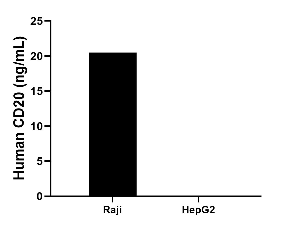 Cytometric bead array sample test of MP03555-1