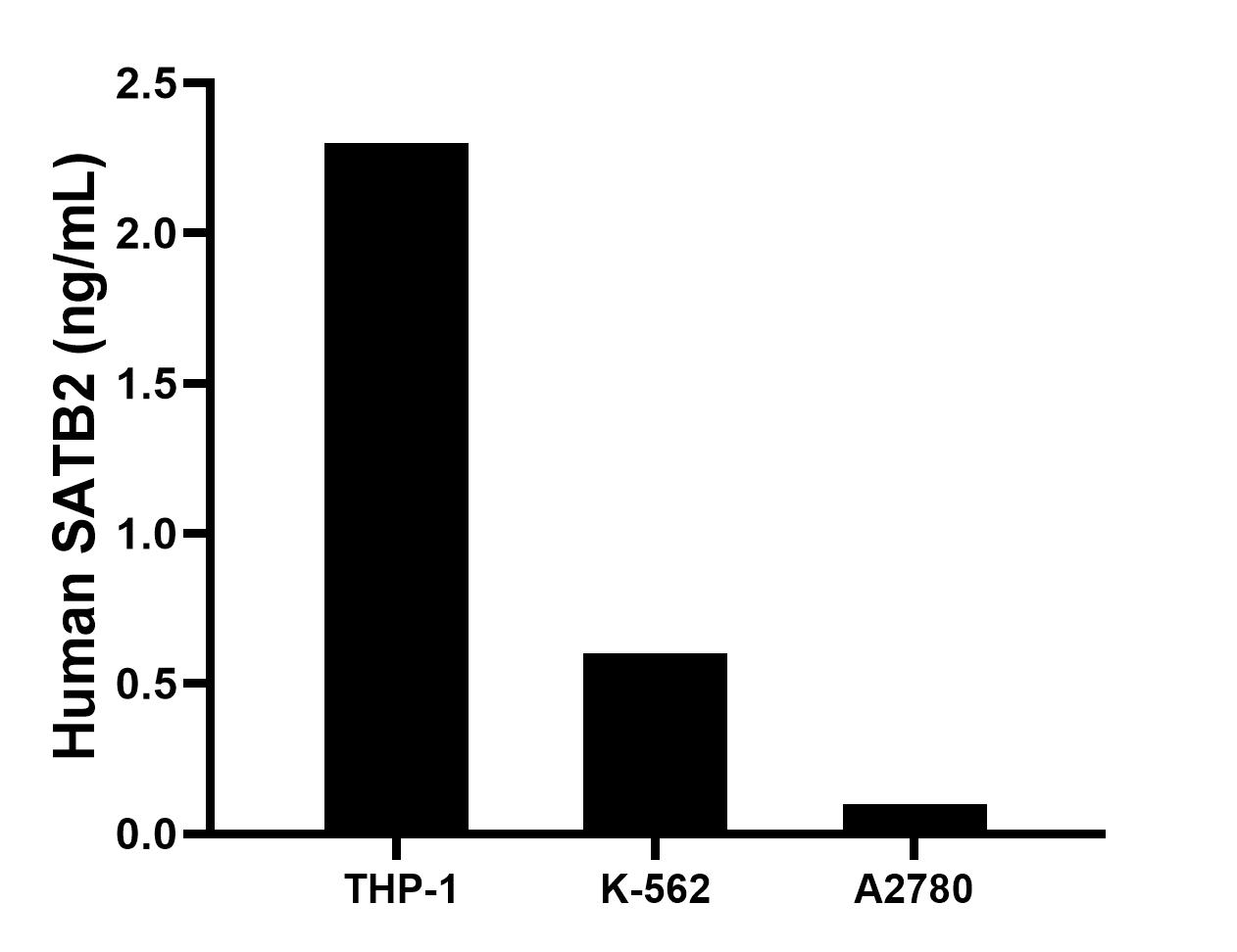 The mean SATB2 concentration was determined to be 2.3 ng/mL in THP-1 cell extract based on a 1.0 mg/mL extract load, 0.6 ng/mL in K-562 cell extract based on a 1.0 mg/mL extract load, 0.1 ng/mL in A2780 cell extract based on a 1.0 mg/mL extract load.