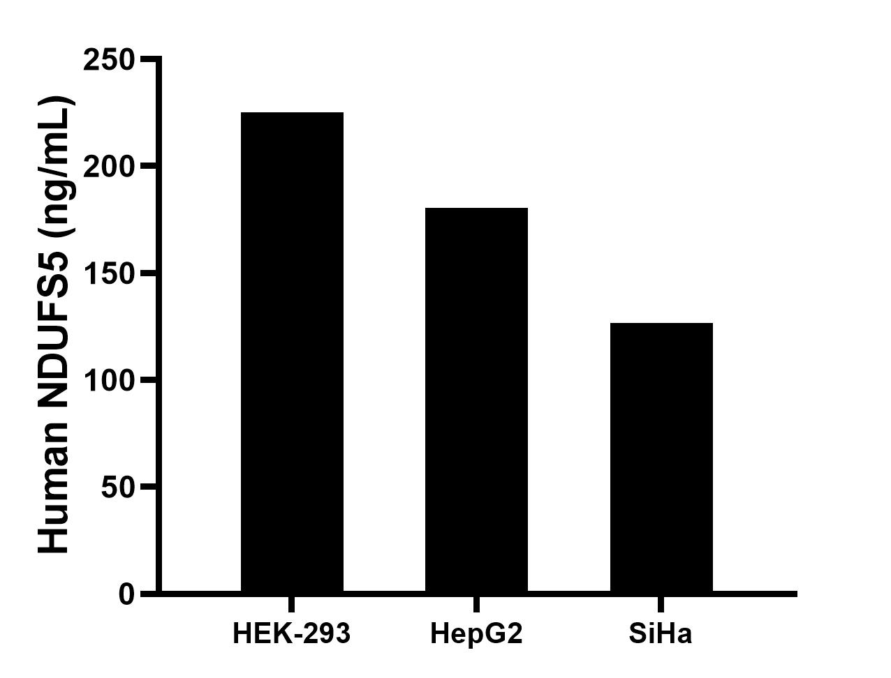The mean NDUFS5 concentration was determined to be 225 ng/mL in HEK-293 cell extract based on a 1.2 mg/mL extract load, 180.3 ng/mL in HepG2 cell extract based on a 1.2 mg/mL extract load, 126.5 ng/mL in SiHa cell extract based on a 1.2 mg/mL extract load. The mean NDUFS5 concentration was determined to be 225 ng/mL in HEK-293 cell extract based on a 1.2 mg/mL extract load, 180.3 ng/mL in HepG2 cell extract based on a 1.2 mg/mL extract load, 126.5 ng/mL in SiHa cell extract based on a 1.2 mg/mL extract load.