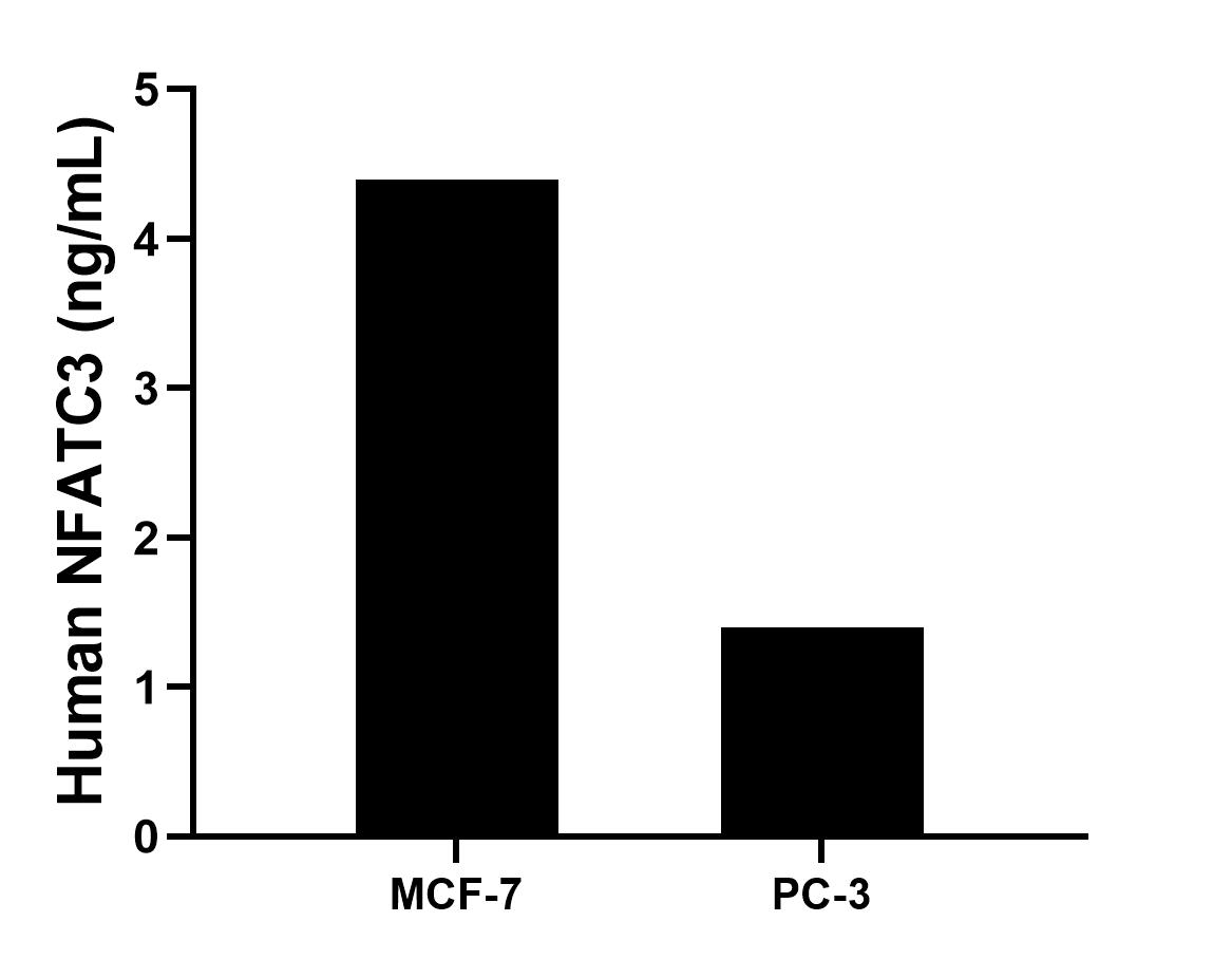 The mean NFATC3 concentration was determined to be 4.4 ng/mL in MCF-7 cell extract based on a 1.2 mg/mL extract load, 1.4 ng/mL in PC-3 cell extract based on a 1.2 mg/mL extract load. The mean NFATC3 concentration was determined to be 4.4 ng/mL in MCF-7 cell extract based on a 1.2 mg/mL extract load, 1.4 ng/mL in PC-3 cell extract based on a 1.2 mg/mL extract load.