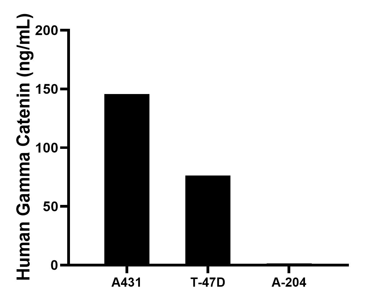 The mean Gamma Catenin concentration was determined to be 145.6 ng/mL in A431 cell extract based on a 1.2 mg/mL extract load, 76.2 ng/mL in T-47D cell extract based on a 1.2 mg/mL extract load, 1.5 ng/mL in A-204 cell extract based on a 1.2 mg/mL extract load. The mean Gamma Catenin concentration was determined to be 145.6 ng/mL in A431 cell extract based on a 1.2 mg/mL extract load, 76.2 ng/mL in T-47D cell extract based on a 1.2 mg/mL extract load, 1.5 ng/mL in A-204 cell extract based on a 1.2 mg/mL extract load.