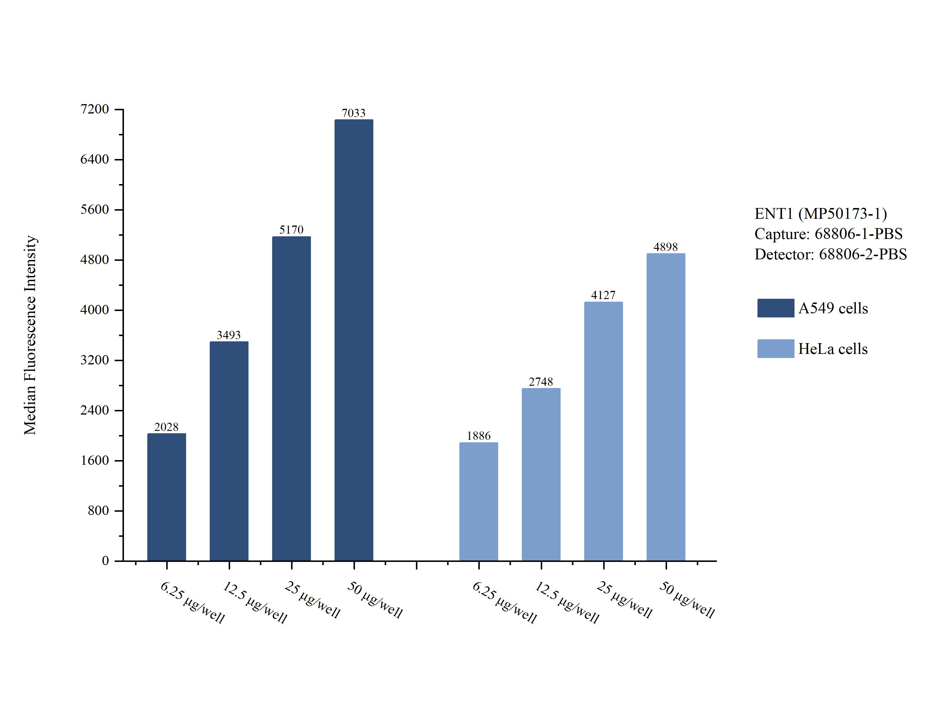 Cytometric bead array sample test of <a class='green' href='/productredirect?CatalogNo=MP50173-1' target='_blank'>MP50173-1</a>, ENT1 Monoclonal Matched Antibody Pair, PBS Only. Capture antibody: <a class='green' href='/productredirect?CatalogNo=68806-1-PBS' target='_blank'>68806-1-PBS</a>. Detection antibody: 68806-2-PBS. Cytometric bead array sample test of MP50173-1