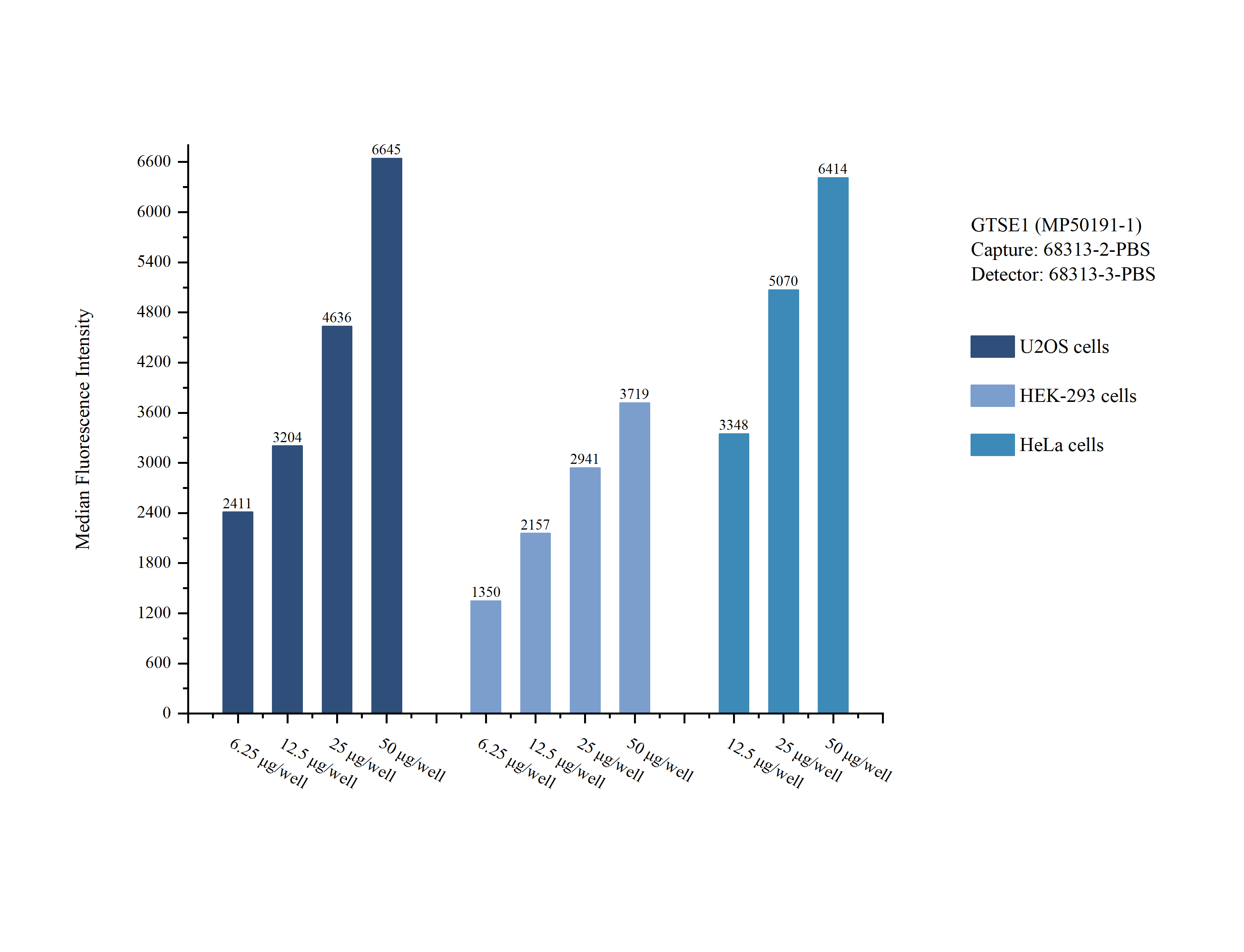 Cytometric bead array sample test of MP50191-1