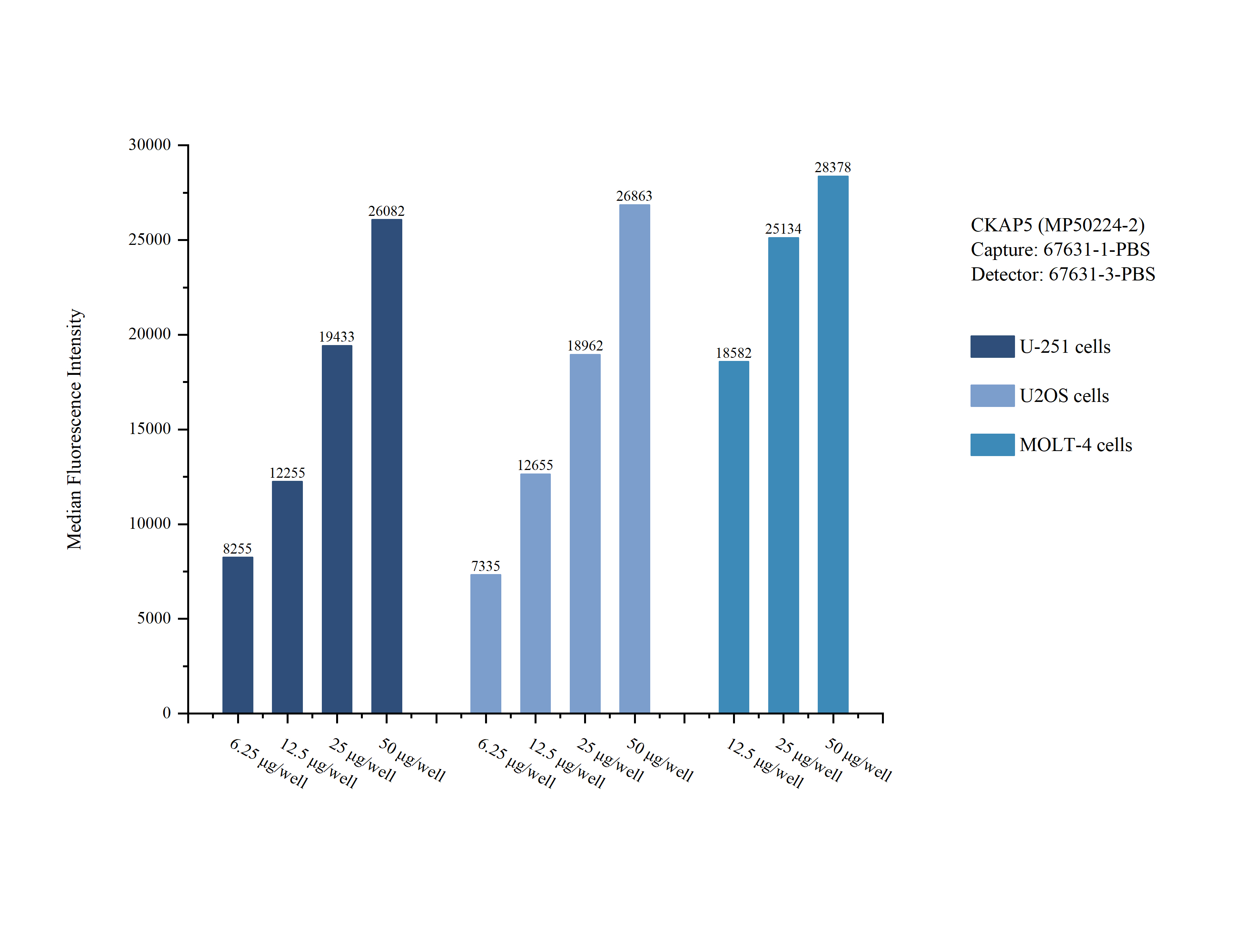 Cytometric bead array sample test of <a class='green' href='/productredirect?CatalogNo=MP50224-2' target='_blank'>MP50224-2</a>, CKAP5 Monoclonal Matched Antibody Pair, PBS Only. Capture antibody: 67631-1-PBS. Detection antibody: <a class='green' href='/productredirect?CatalogNo=67631-3-PBS' target='_blank'>67631-3-PBS</a>. Cytometric bead array sample test of MP50224-2