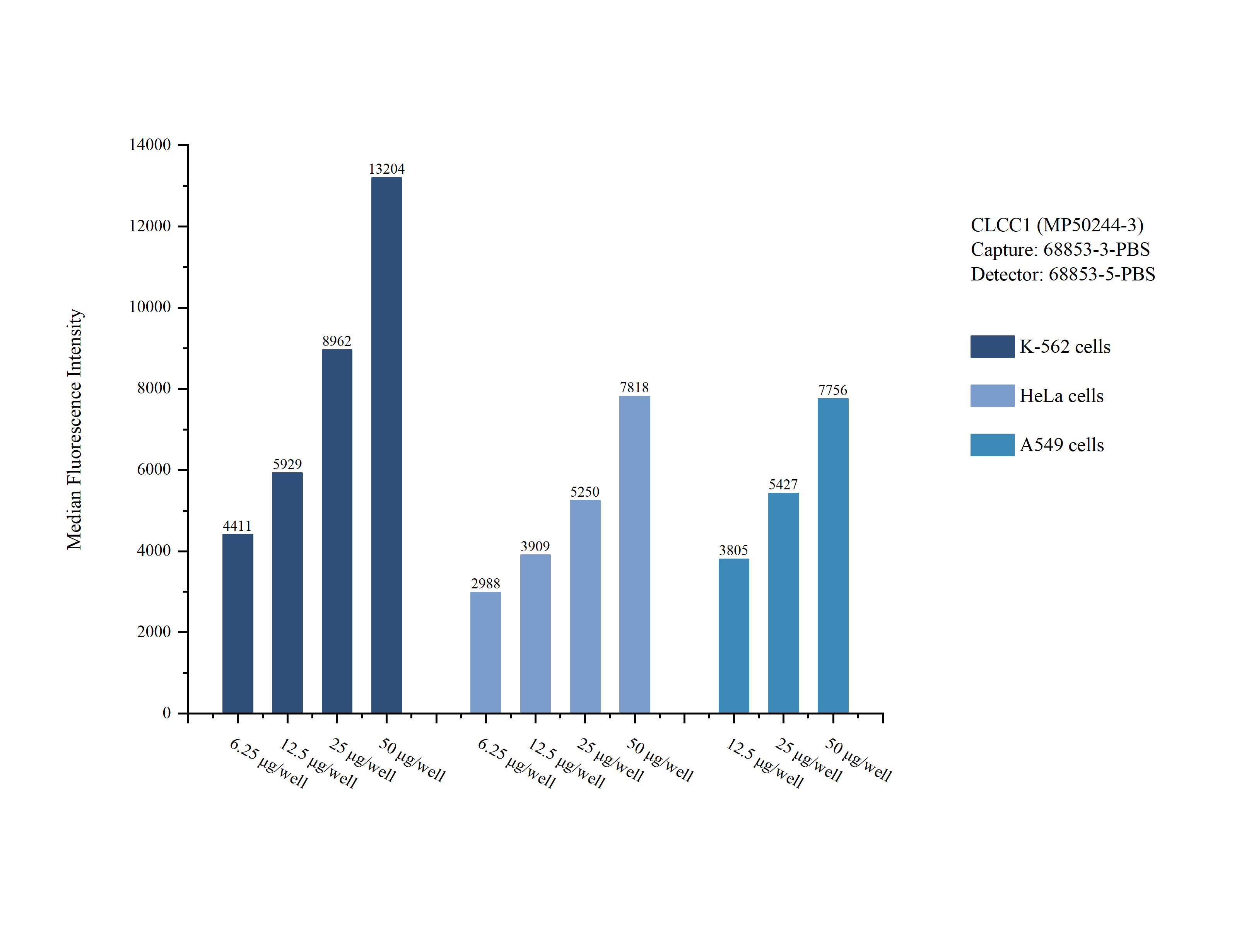 Cytometric bead array sample test of <a class='green' href='/productredirect?CatalogNo=MP50244-3' target='_blank'>MP50244-3</a>, CLCC1 Monoclonal Matched Antibody Pair, PBS Only. Capture antibody: 68853-3-PBS. Detection antibody: <a class='green' href='/productredirect?CatalogNo=68853-5-PBS' target='_blank'>68853-5-PBS</a>. Cytometric bead array sample test of MP50244-3