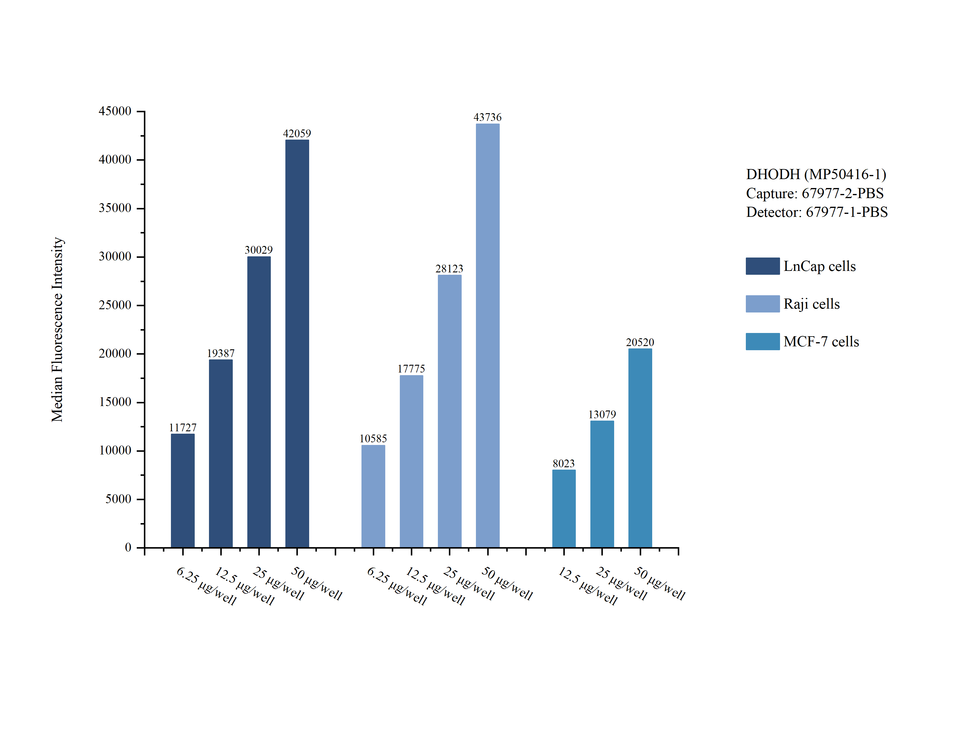 Cytometric bead array sample test of <a class='green' href='/productredirect?CatalogNo=MP50416-1' target='_blank'>MP50416-1</a>, DHODH Monoclonal Matched Antibody Pair, PBS Only. Capture antibody: 67977-2-PBS. Detection antibody: <a class='green' href='/productredirect?CatalogNo=67977-1-PBS' target='_blank'>67977-1-PBS</a>. Cytometric bead array sample test of MP50416-1