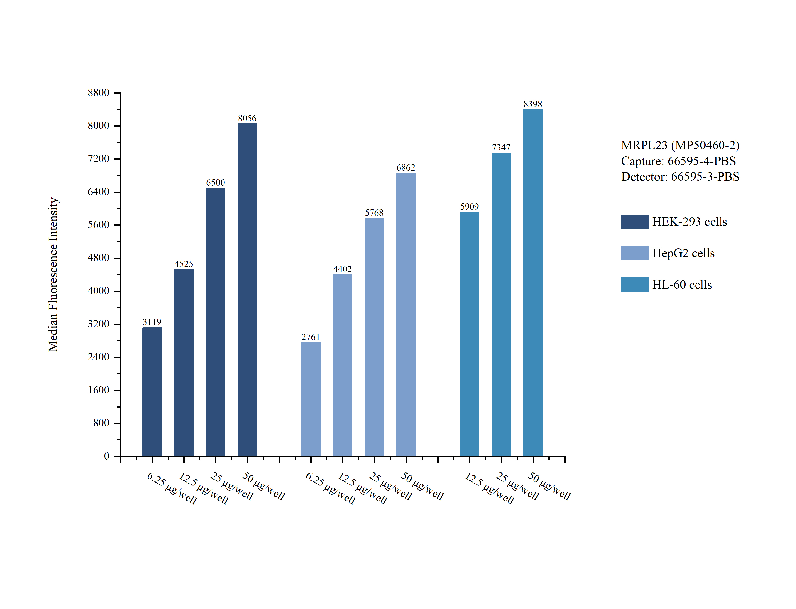 Cytometric bead array sample test of MP50460-2, MRPL23 Monoclonal Matched Antibody Pair, PBS Only. Capture antibody: 66595-4-PBS. Detection antibody: 66595-3-PBS.