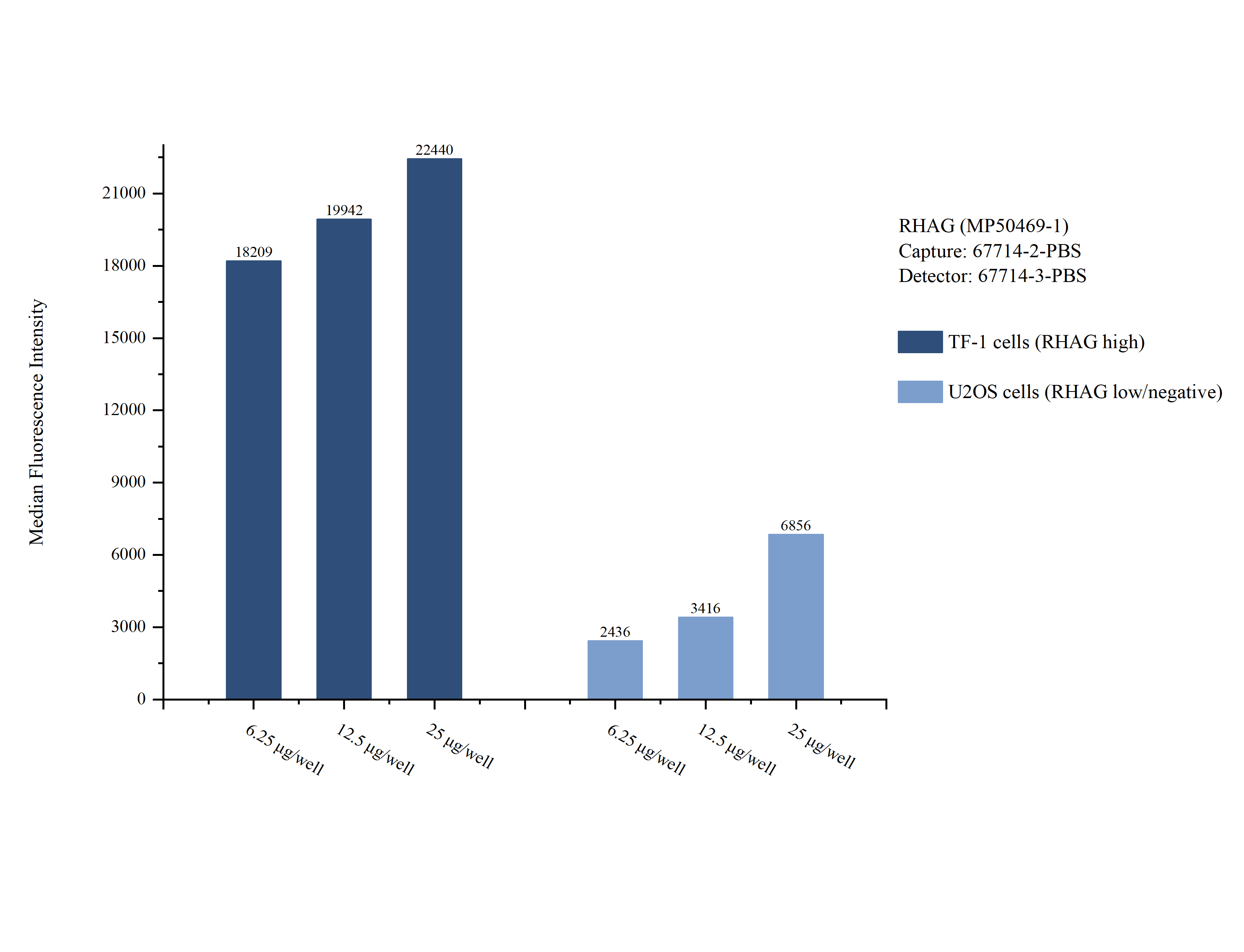 Cytometric bead array sample test of MP50469-1