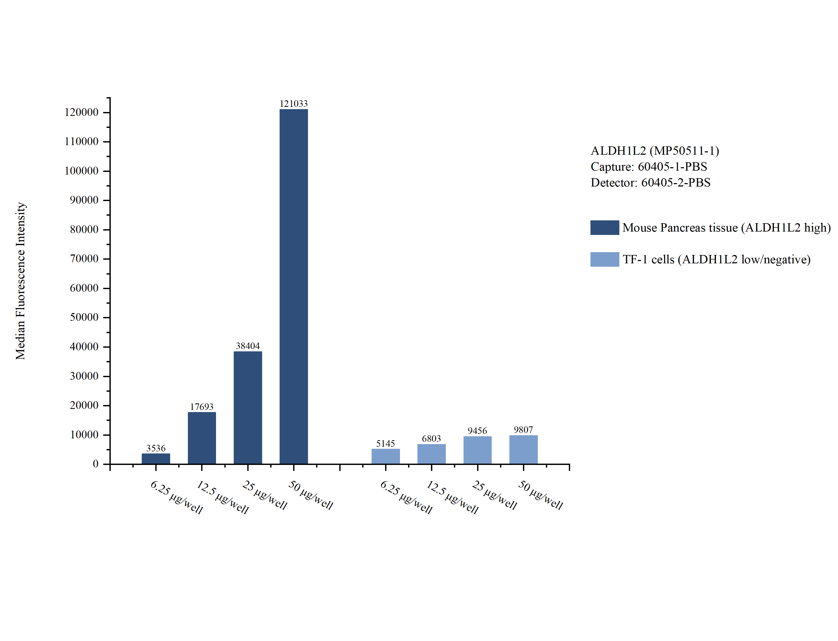 Cytometric bead array sample test of MP50511-1