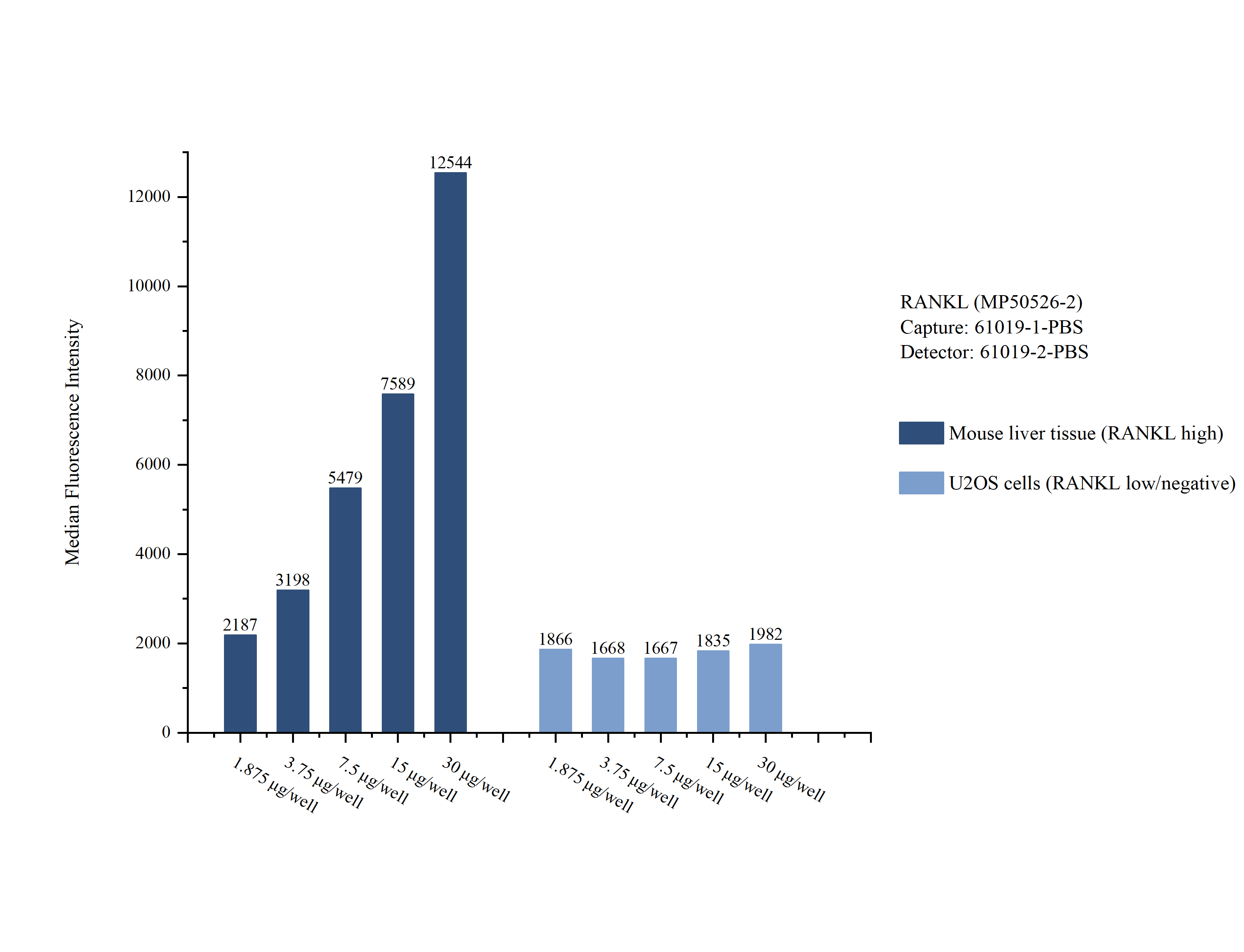 Cytometric bead array sample test of MP50526-2, RANKL Monoclonal Matched Antibody Pair, PBS Only. Capture antibody: 61019-1-PBS. Detection antibody: 61019-2-PBS. 