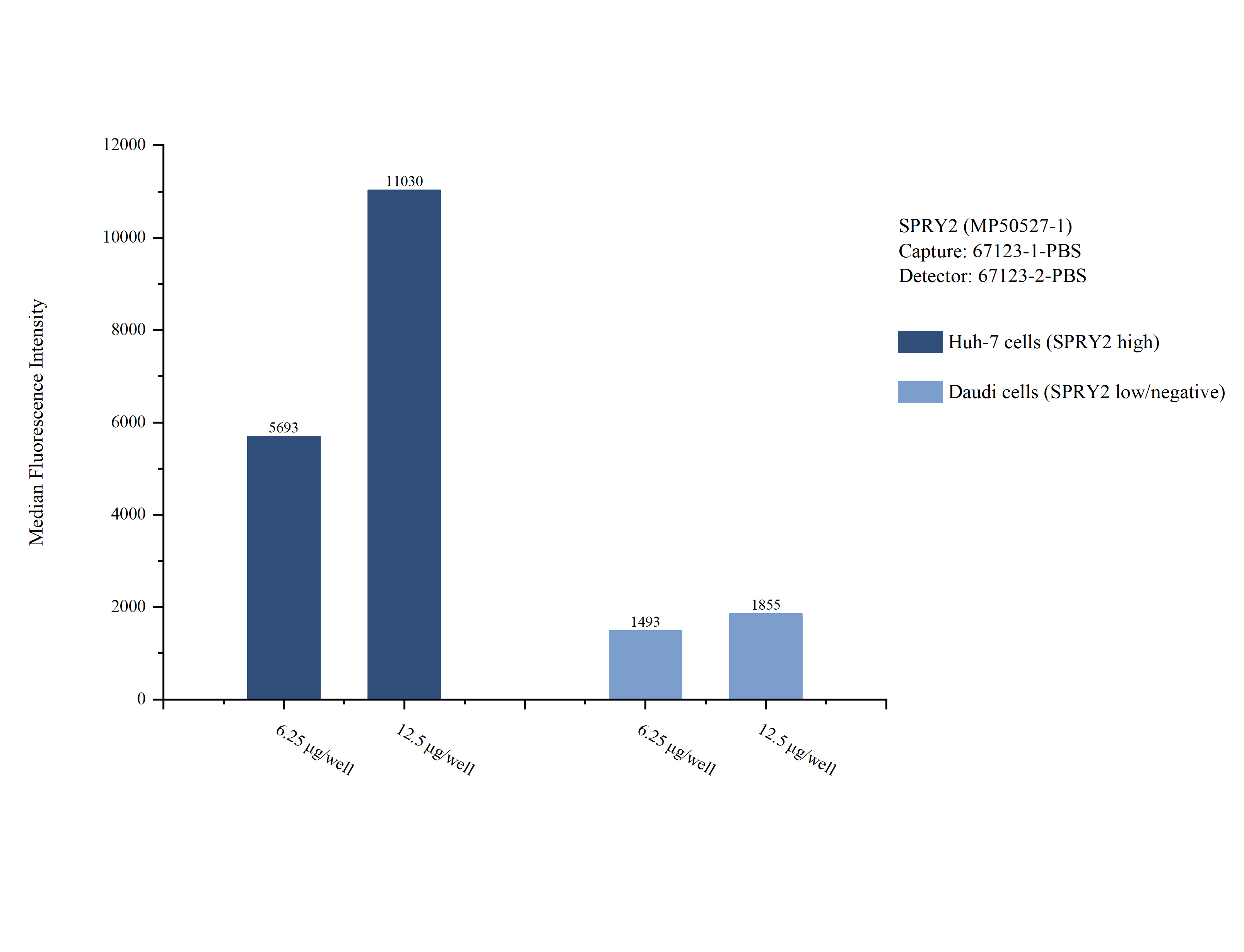 Cytometric bead array sample test of <a class='green' href='/productredirect?CatalogNo=MP50527-1' target='_blank'>MP50527-1</a>, SPRY2 Monoclonal Matched Antibody Pair, PBS Only. Capture antibody: <a class='green' href='/productredirect?CatalogNo=67123-1-PBS' target='_blank'>67123-1-PBS</a>. Detection antibody: 67123-2-PBS. Cytometric bead array sample test of MP50527-1