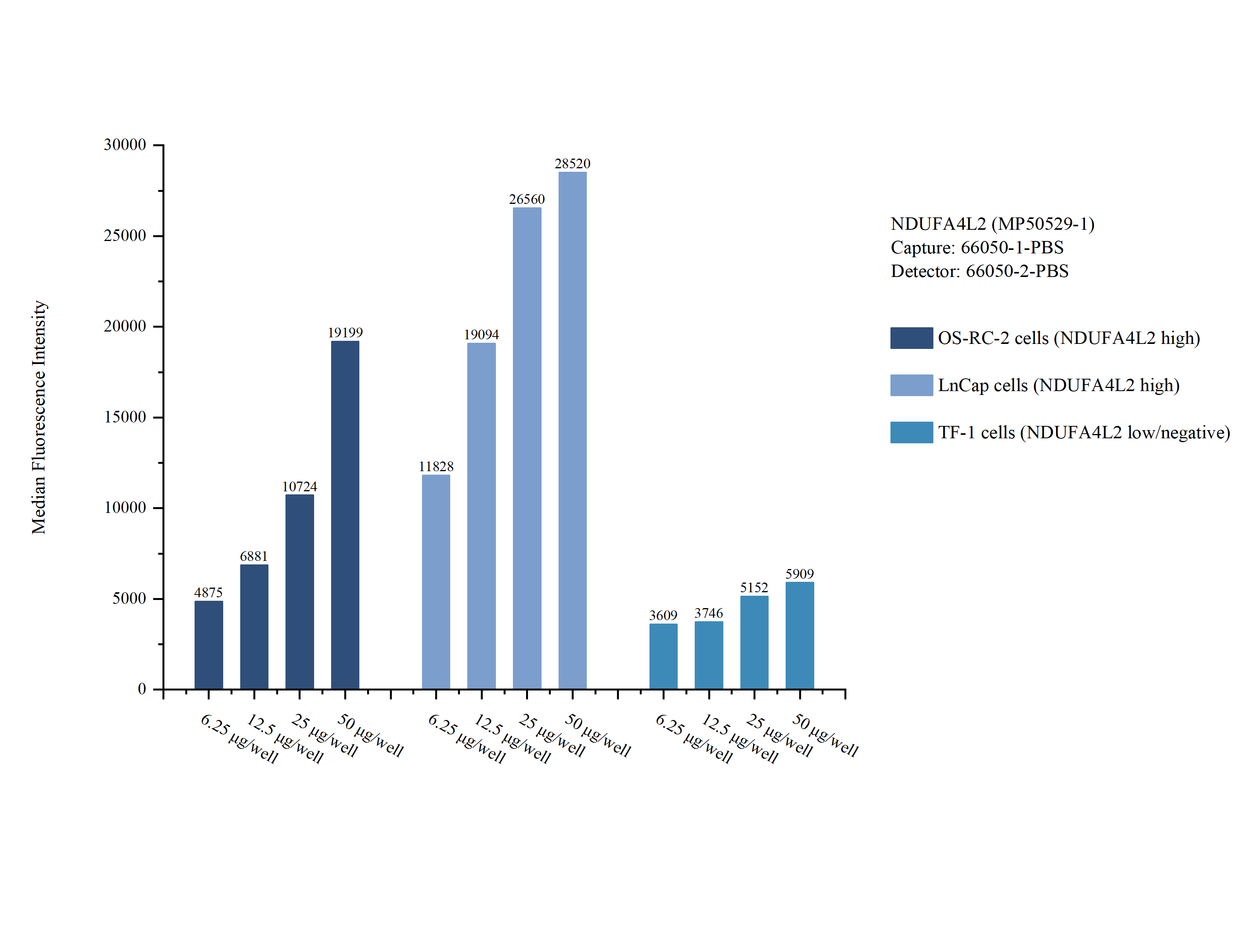 Cytometric bead array sample test of MP50529-1