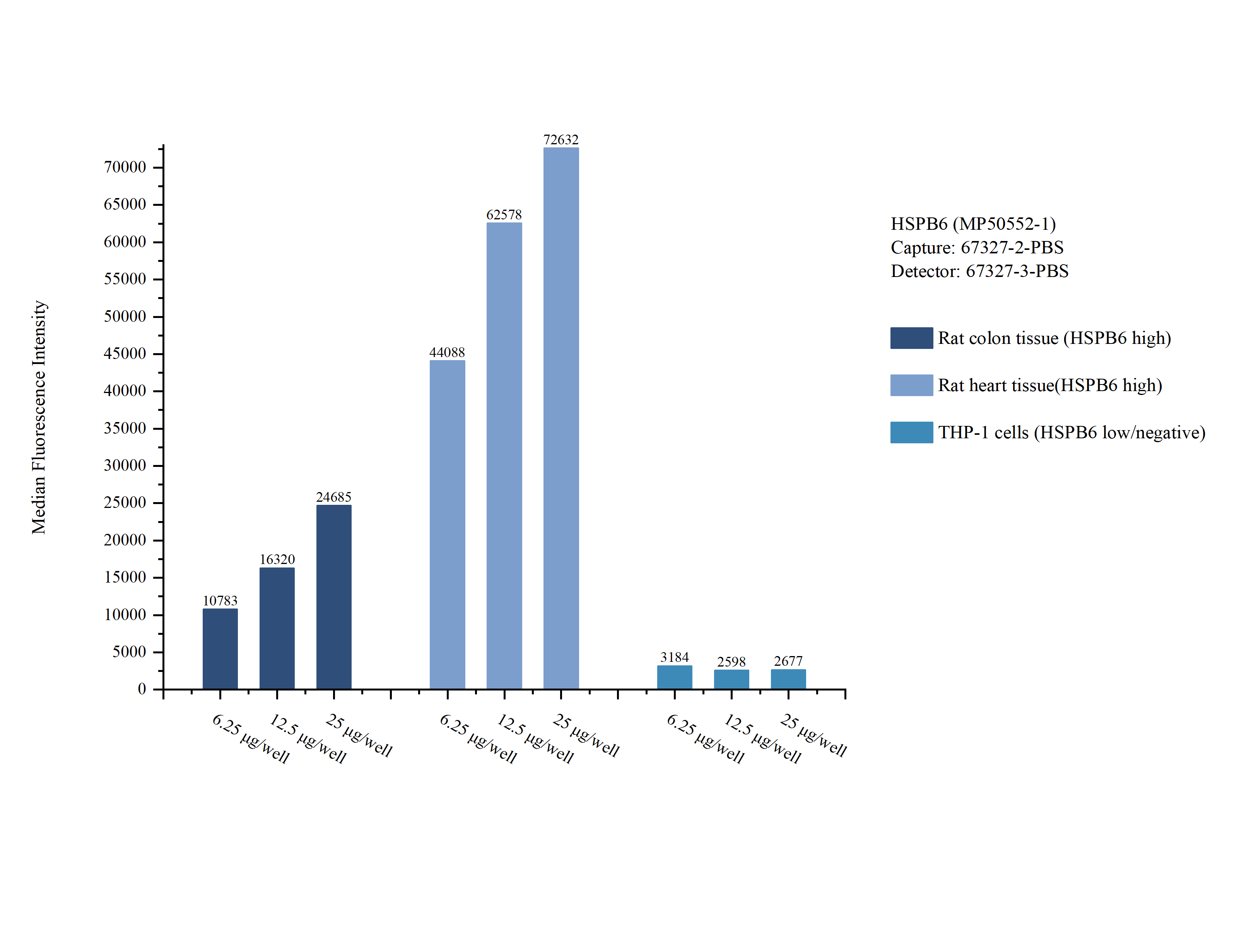 Cytometric bead array sample test of MP50552-1, HSPB6 Monoclonal Matched Antibody Pair, PBS Only. Capture antibody: 67327-2-PBS. Detection antibody: 67327-3-PBS.