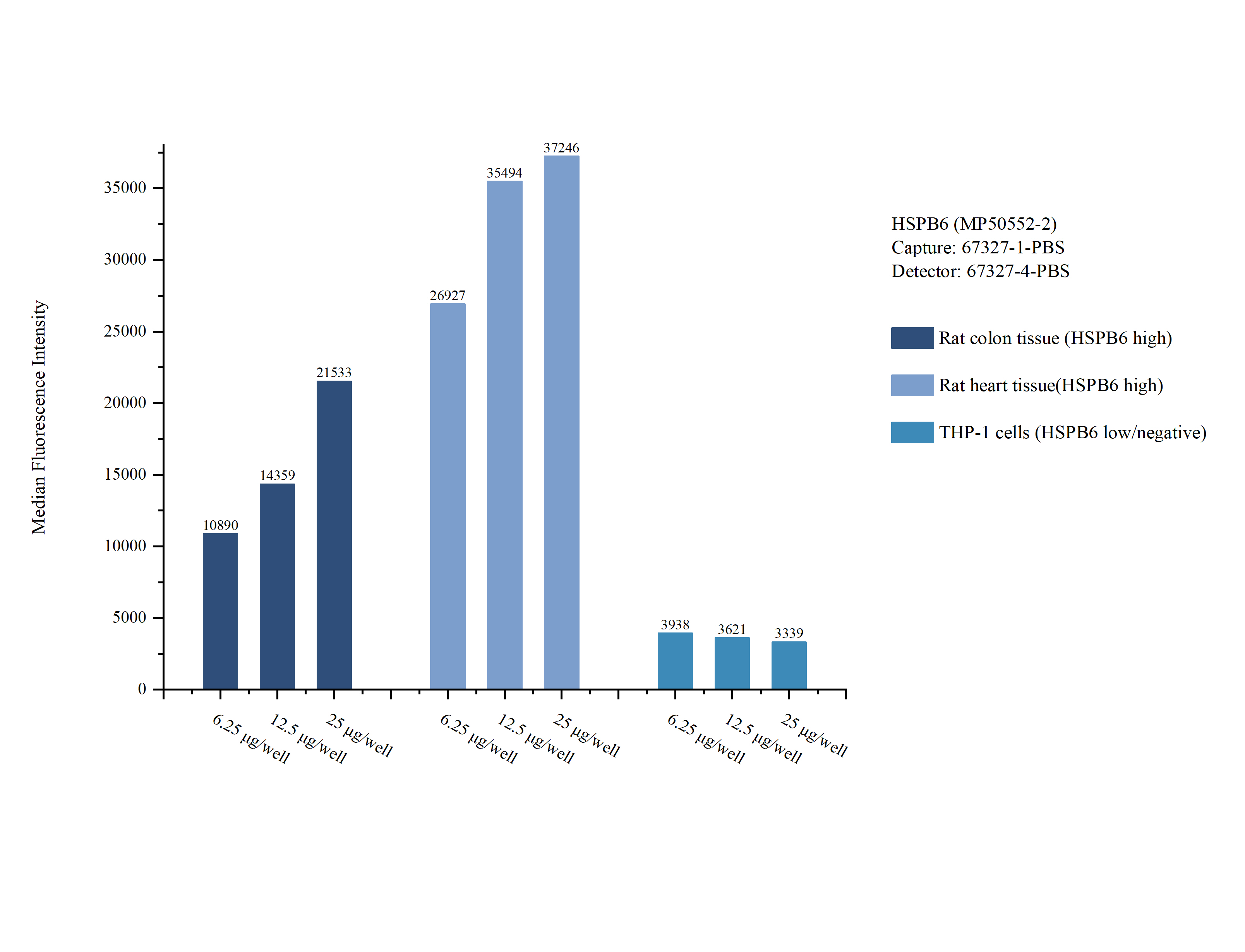 Cytometric bead array sample test of MP50552-2