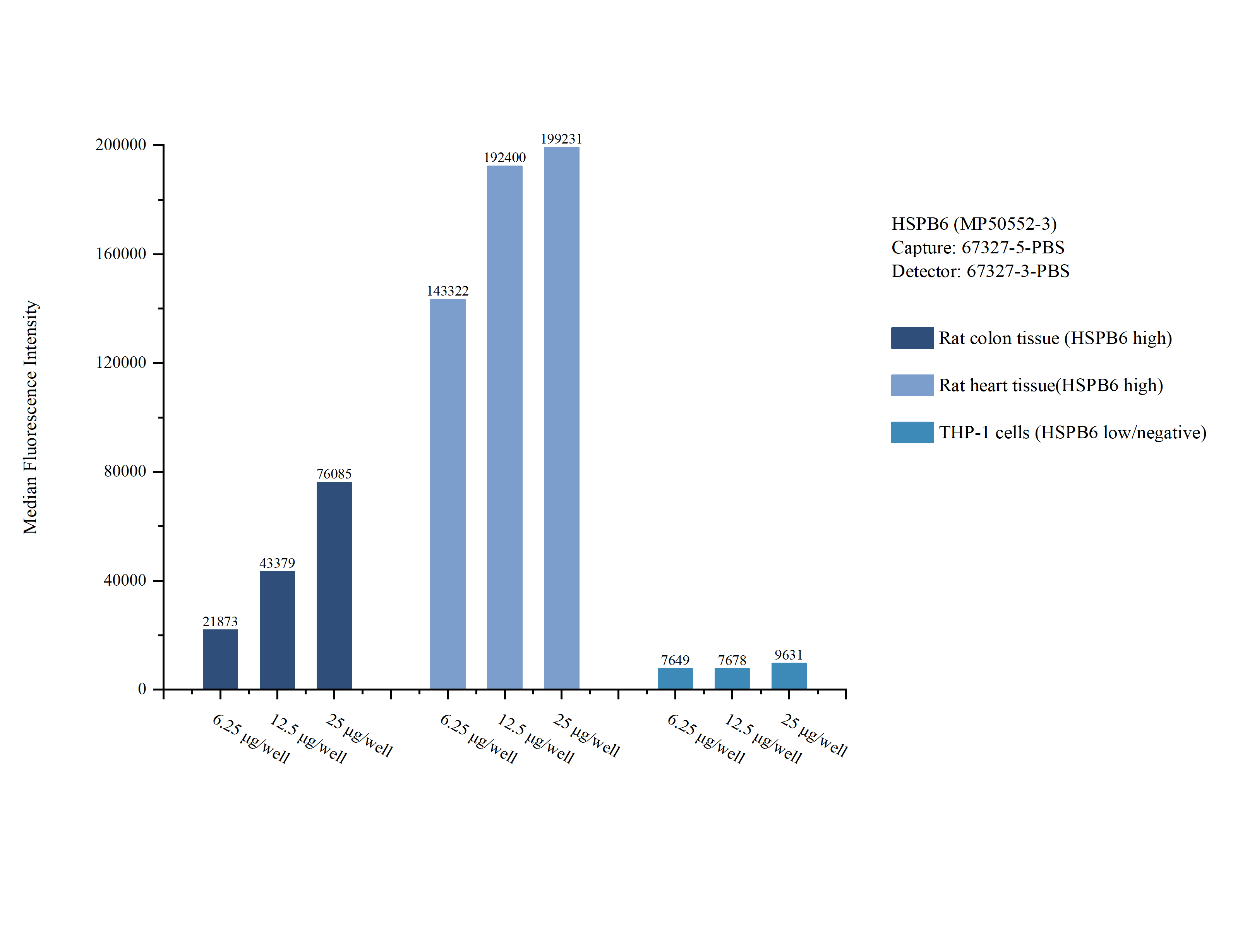 Cytometric bead array sample test of MP50552-3, HSPB6 Monoclonal Matched Antibody Pair, PBS Only. Capture antibody: 67327-5-PBS. Detection antibody: 67327-3-PBS.