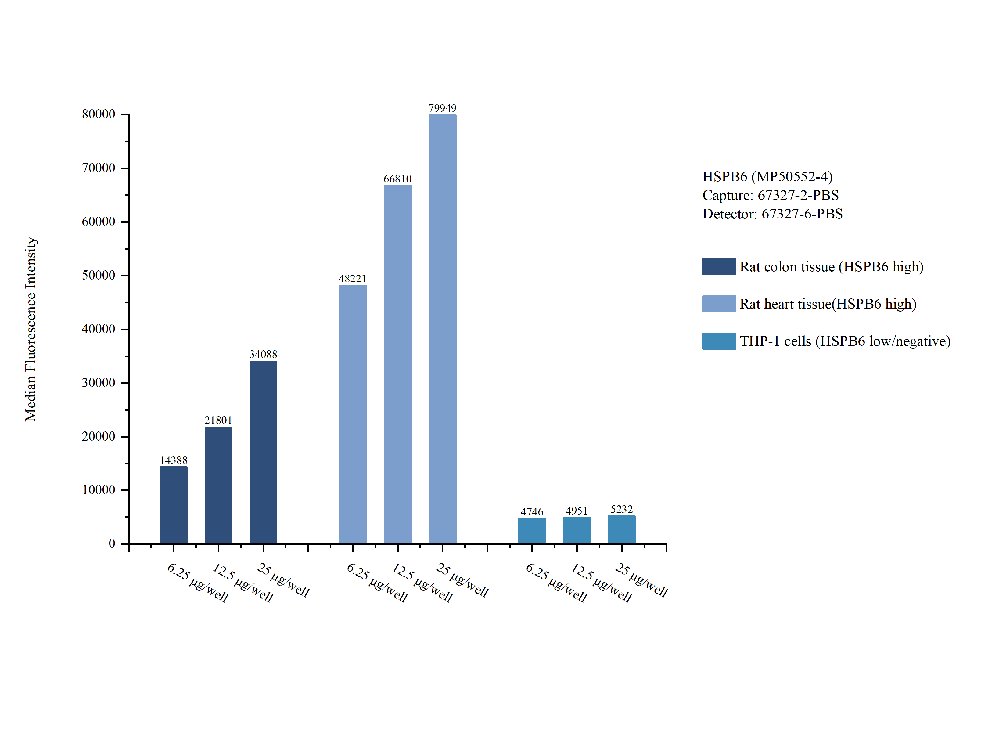 Cytometric bead array sample test of MP50552-4, HSPB6 Monoclonal Matched Antibody Pair, PBS Only. Capture antibody: 67327-2-PBS. Detection antibody: 67327-6-PBS. Cytometric bead array sample test of MP50552-4, HSPB6 Monoclonal Matched Antibody Pair, PBS Only. Capture antibody: 67327-2-PBS. Detection antibody: 67327-6-PBS.