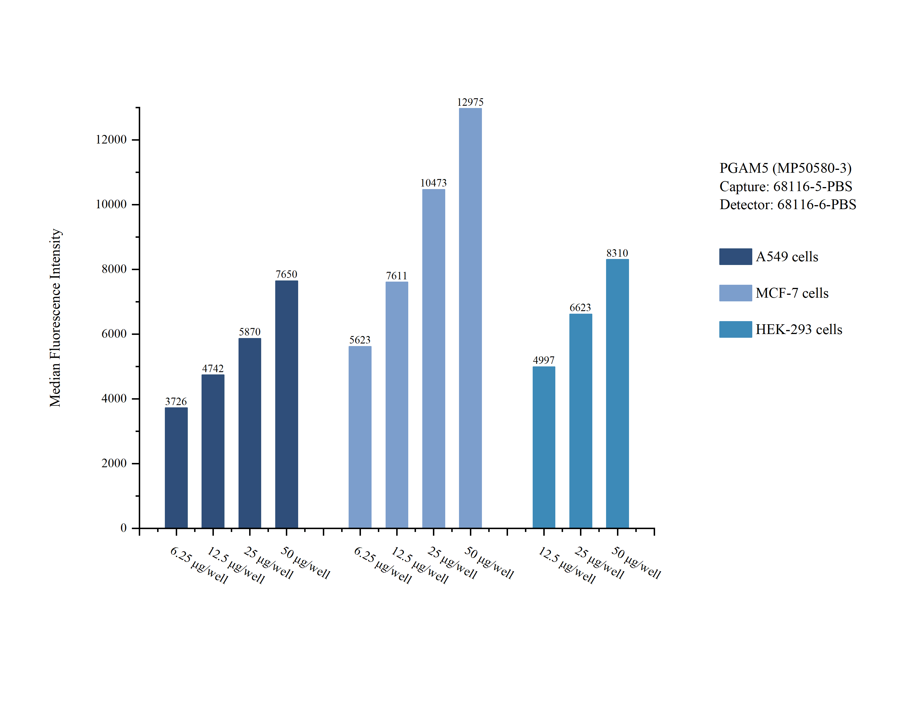 Cytometric bead array sample test of MP50580-3, PGAM5 Monoclonal Matched Antibody Pair, PBS Only. Capture antibody: 68116-5-PBS. Detection antibody: 68116-6-PBS.