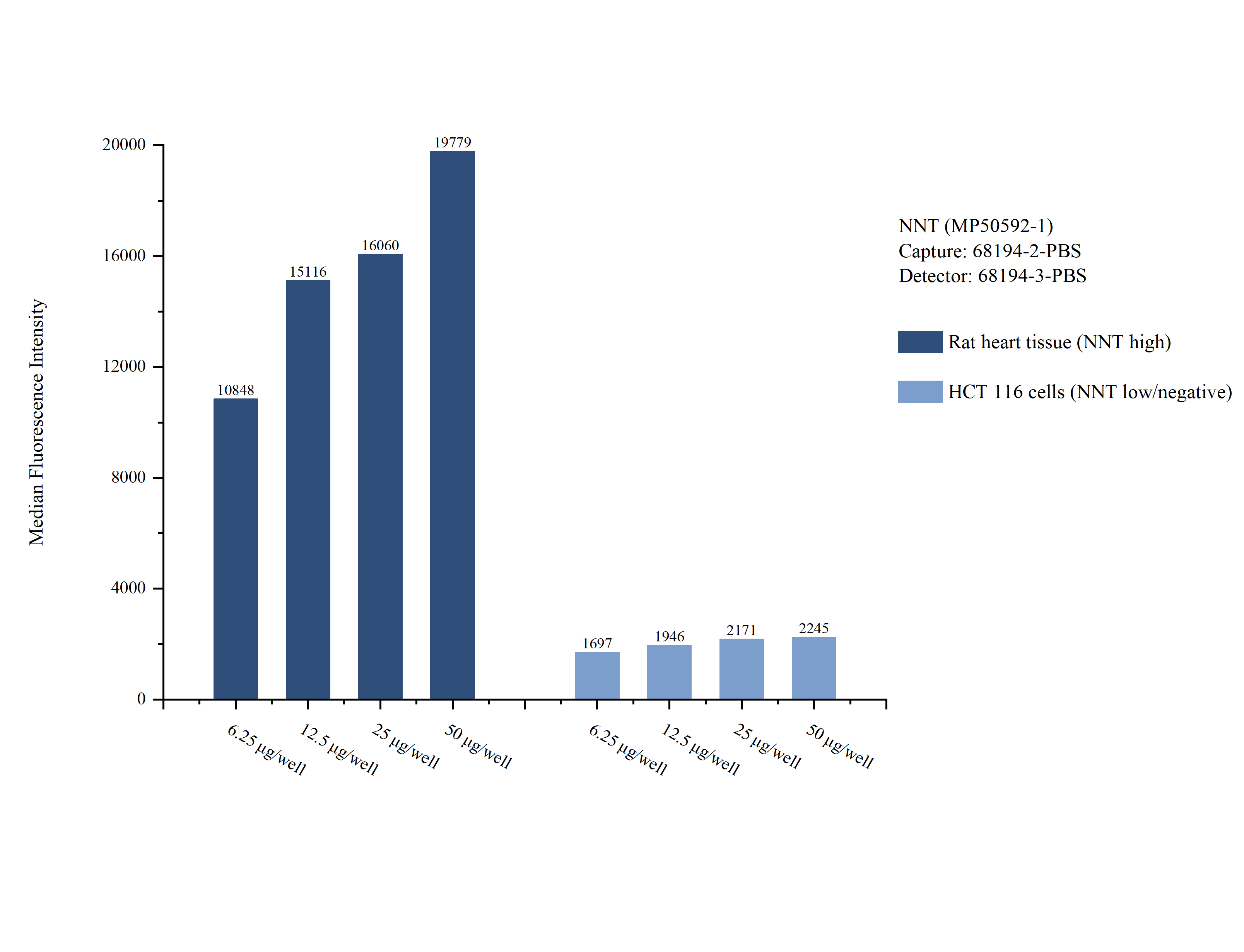 Cytometric bead array sample test of MP50592-1