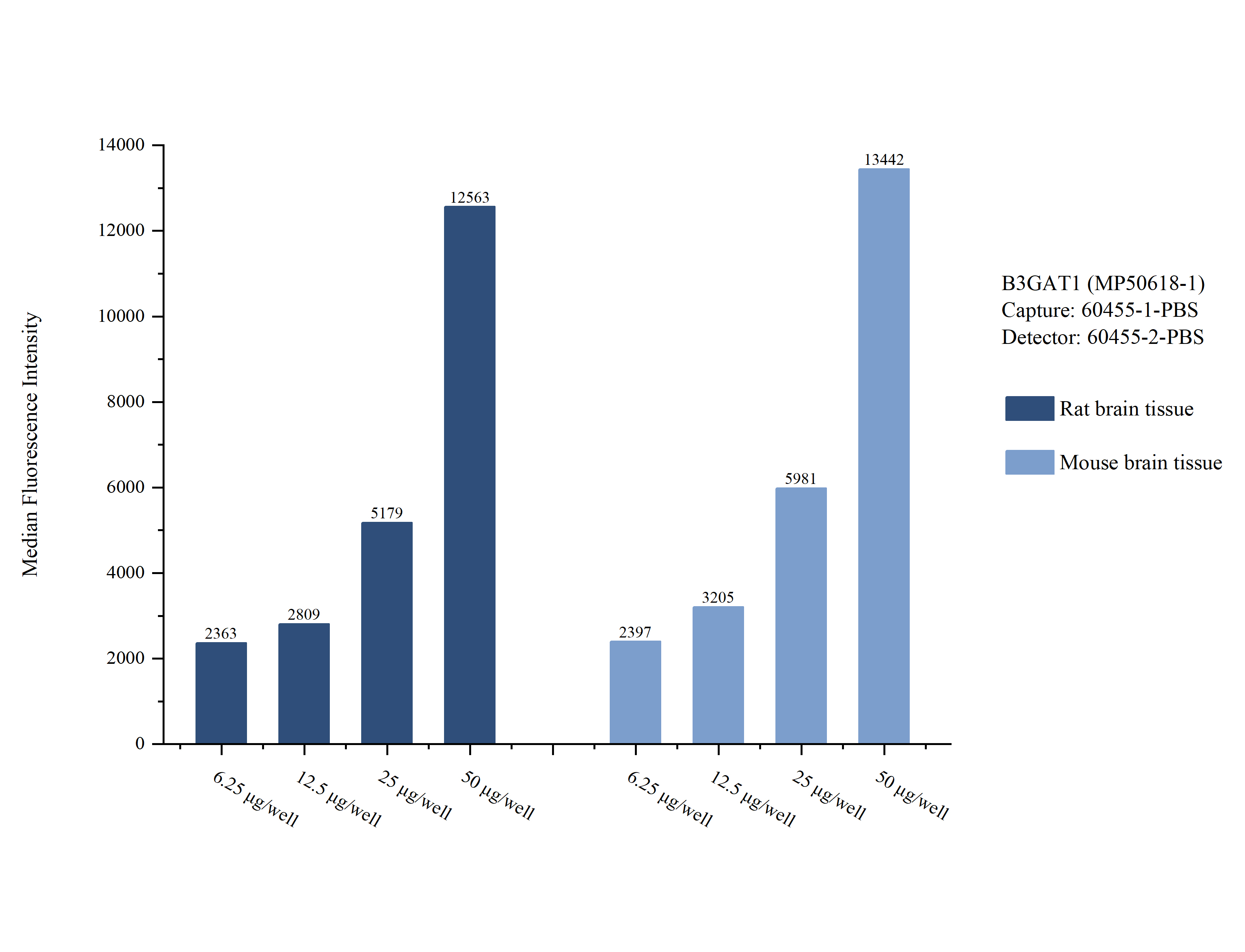Cytometric bead array sample test of <a class='green' href='/productredirect?CatalogNo=MP50618-1' target='_blank'>MP50618-1</a>, B3GAT1 Monoclonal Matched Antibody Pair, PBS Only. Capture antibody: <a class='green' href='/productredirect?CatalogNo=60455-1-PBS' target='_blank'>60455-1-PBS</a>. Detection antibody: 60455-2-PBS. Cytometric bead array sample test of MP50618-1