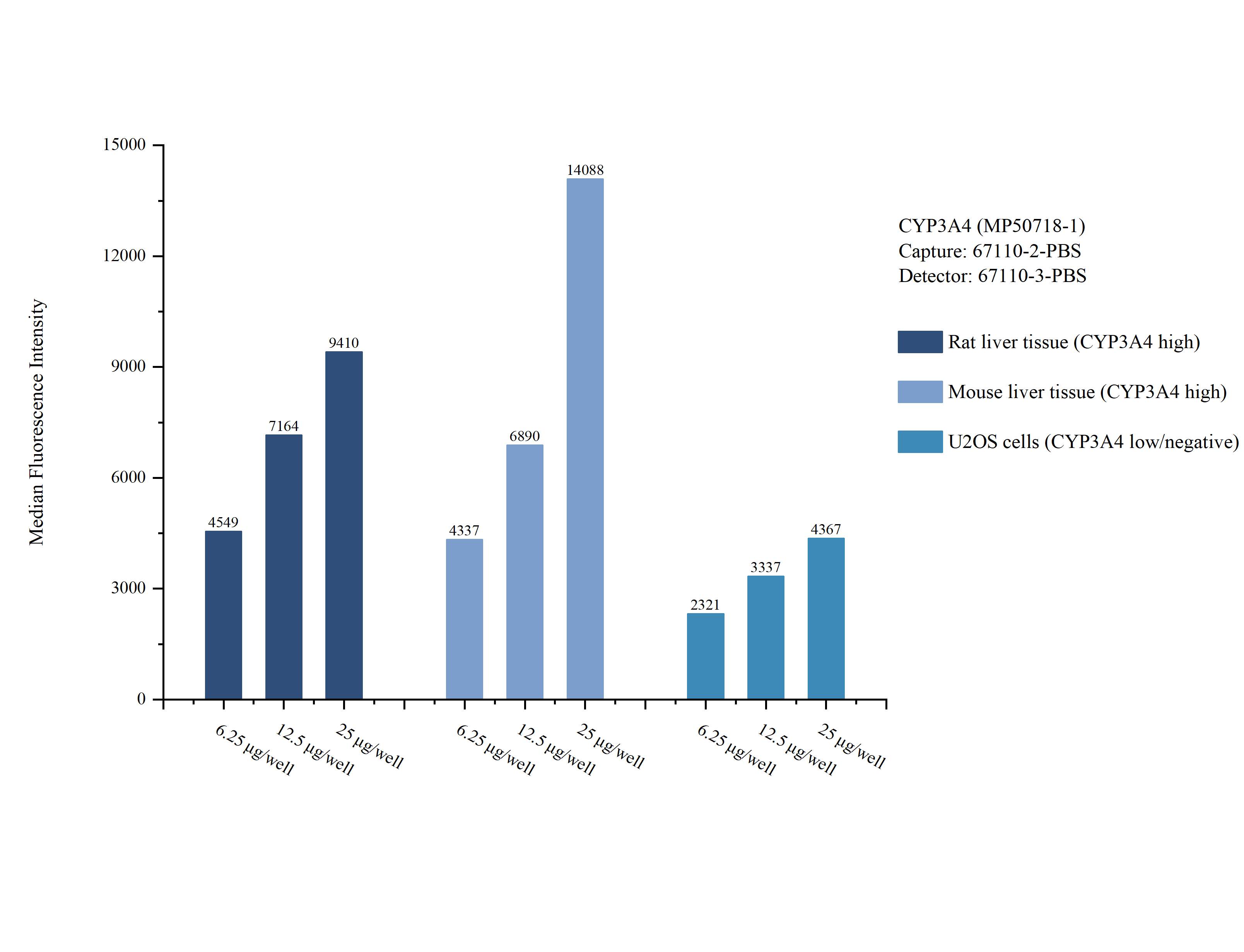 Cytometric bead array sample test of MP50718-1, CYP3A4 Monoclonal Matched Antibody Pair, PBS Only. Capture antibody: 67110-2-PBS. Detection antibody: 67110-3-PBS. Cytometric bead array sample test of MP50718-1, CYP3A4 Monoclonal Matched Antibody Pair, PBS Only. Capture antibody: 67110-2-PBS. Detection antibody: 67110-3-PBS.