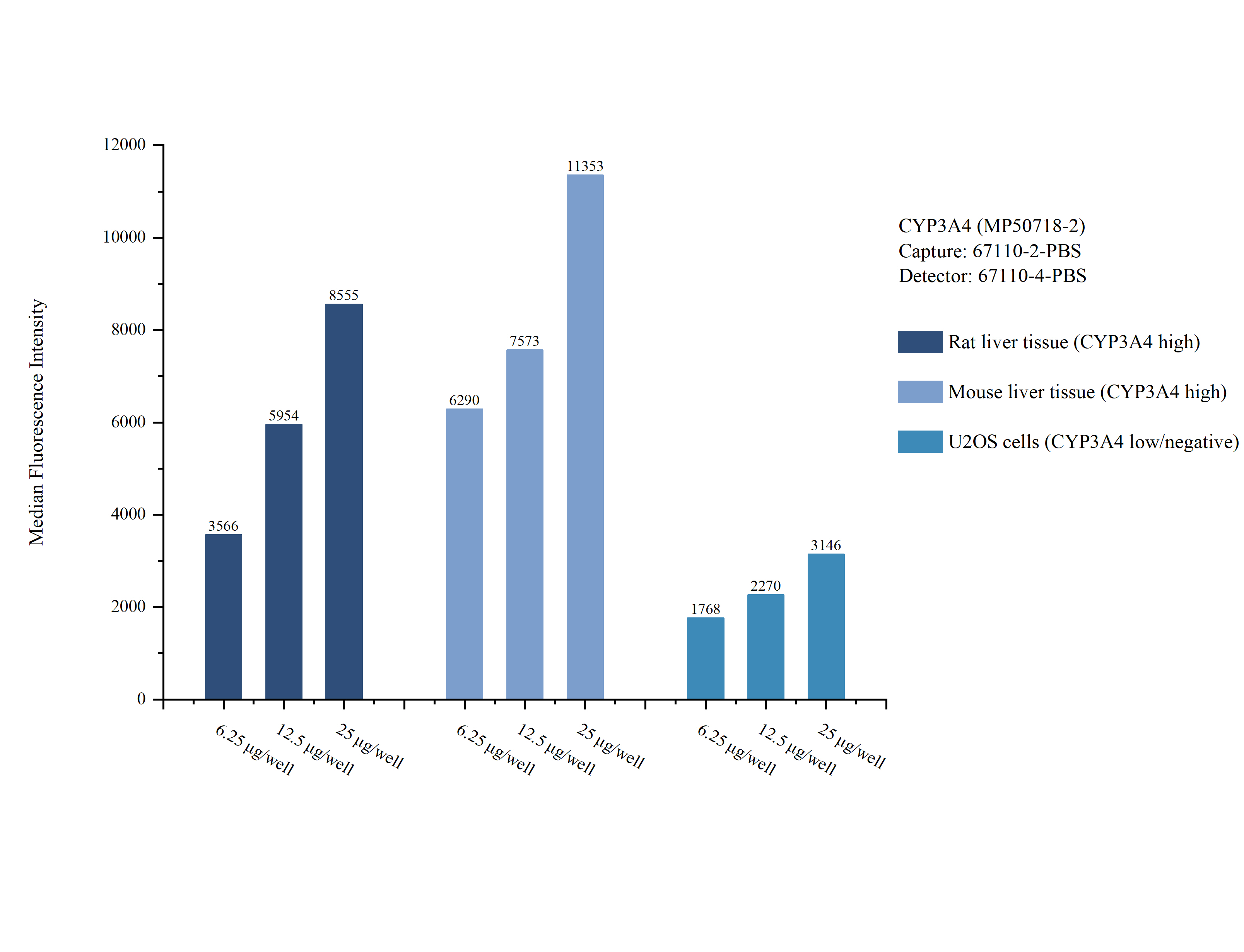 Cytometric bead array sample test of MP50718-2, CYP3A4 Monoclonal Matched Antibody Pair, PBS Only. Capture antibody: 67110-2-PBS. Detection antibody: 67110-4-PBS.