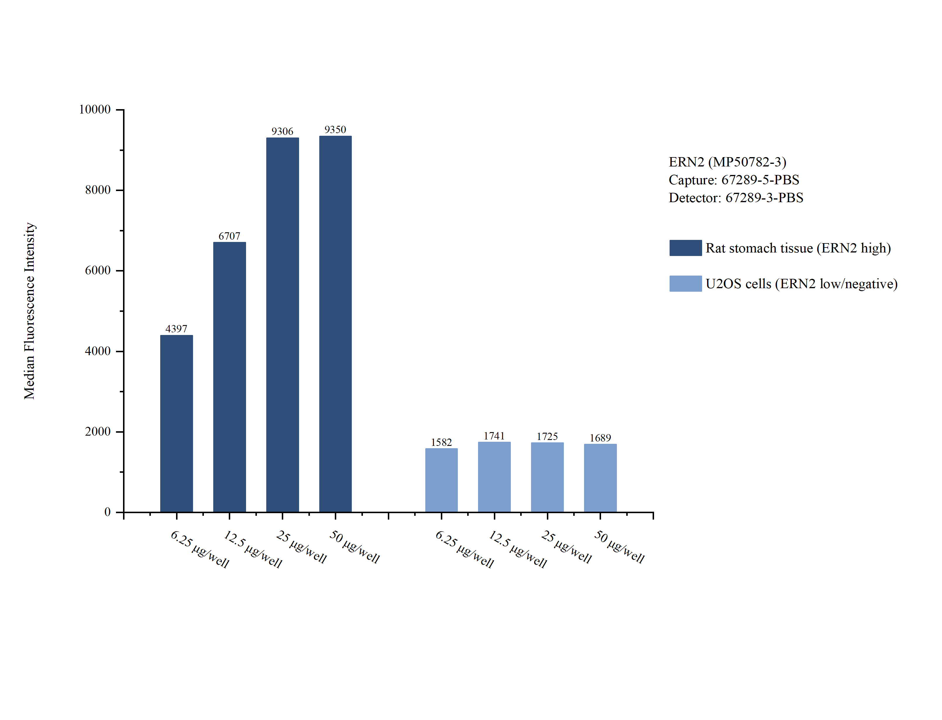 Cytometric bead array sample test of <a class='green' href='/productredirect?CatalogNo=MP50782-3' target='_blank'>MP50782-3</a>, ERN2 Monoclonal Matched Antibody Pair, PBS Only. Capture antibody: <a class='green' href='/productredirect?CatalogNo=67289-5-PBS' target='_blank'>67289-5-PBS</a>. Detection antibody: 67289-3-PBS. Cytometric bead array sample test of MP50782-3