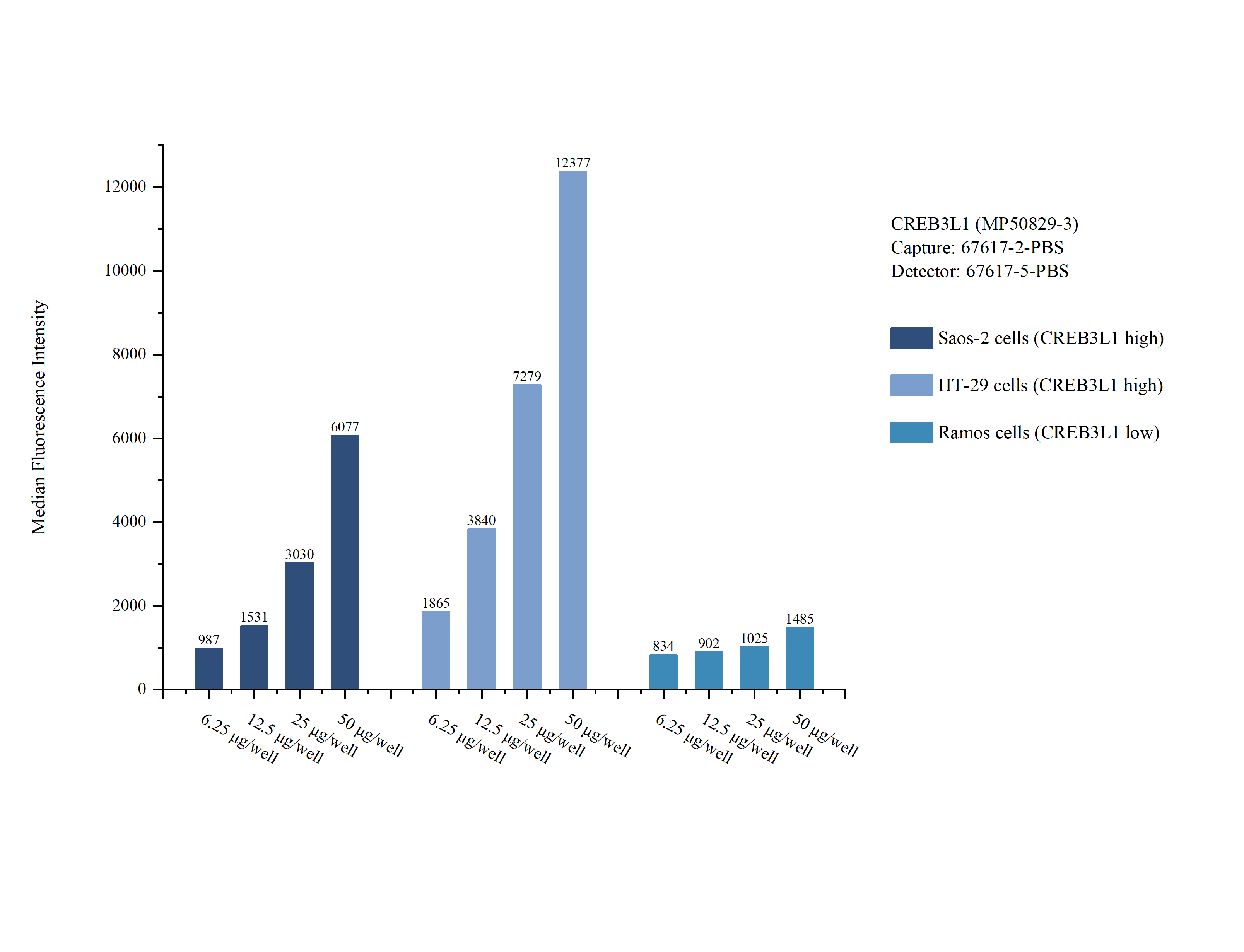 Cytometric bead array sample test of MP50829-3