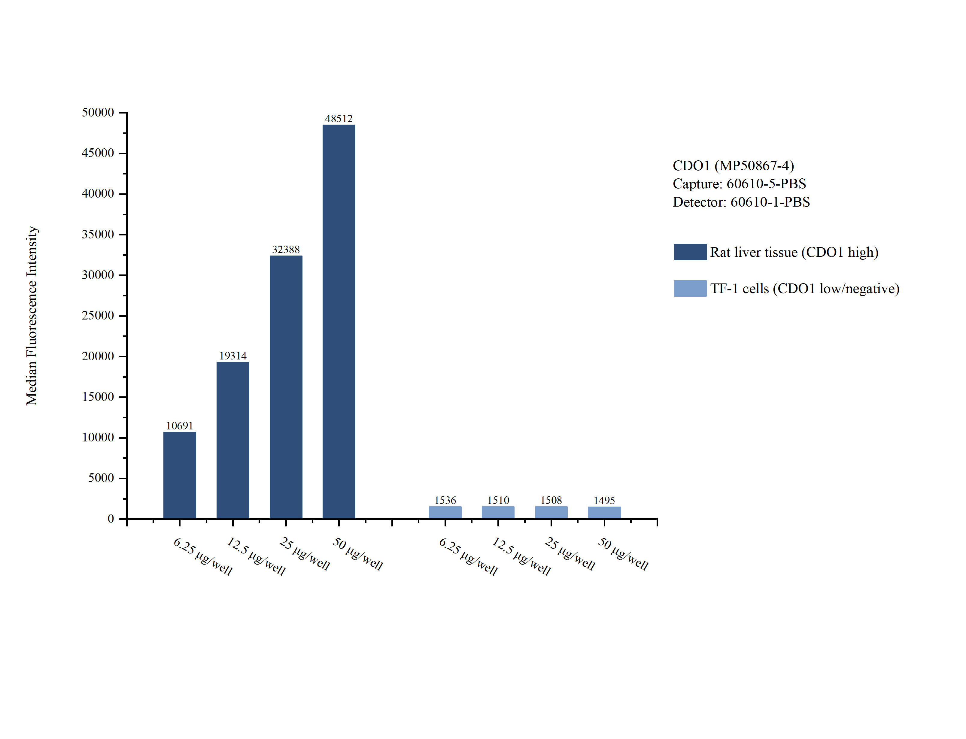 Cytometric bead array sample test of MP50867-4, CDO1 Monoclonal Matched Antibody Pair, PBS Only. Capture antibody: 60610-5-PBS. Detection antibody: 60610-1-PBS. 