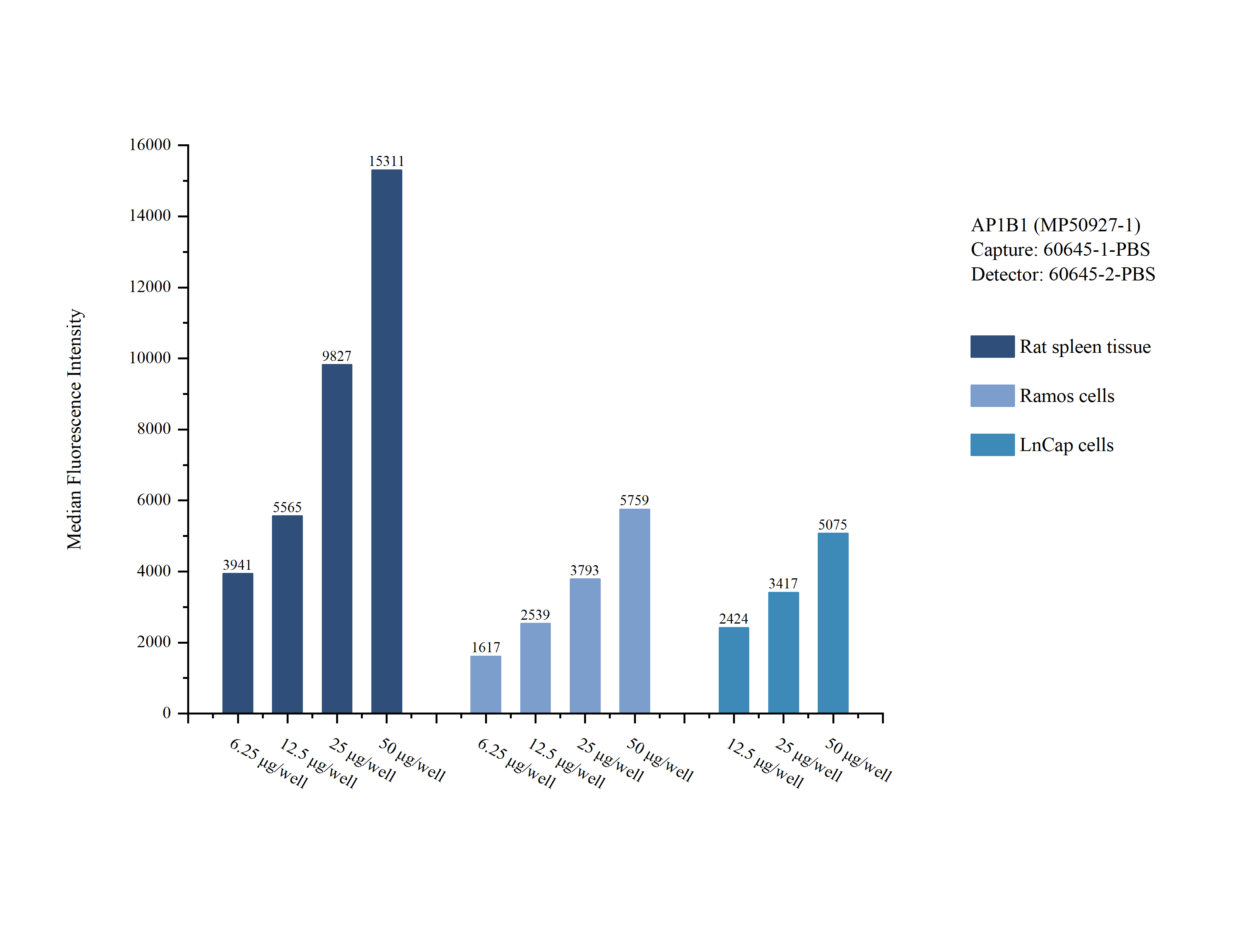 Cytometric bead array sample test of <a class='green' href='/productredirect?CatalogNo=MP50927-1' target='_blank'>MP50927-1</a>, AP1B1 Monoclonal Matched Antibody Pair, PBS Only. Capture antibody: 60645-1-PBS. Detection antibody: <a class='green' href='/productredirect?CatalogNo=60645-2-PBS' target='_blank'>60645-2-PBS</a>. Cytometric bead array sample test of MP50927-1