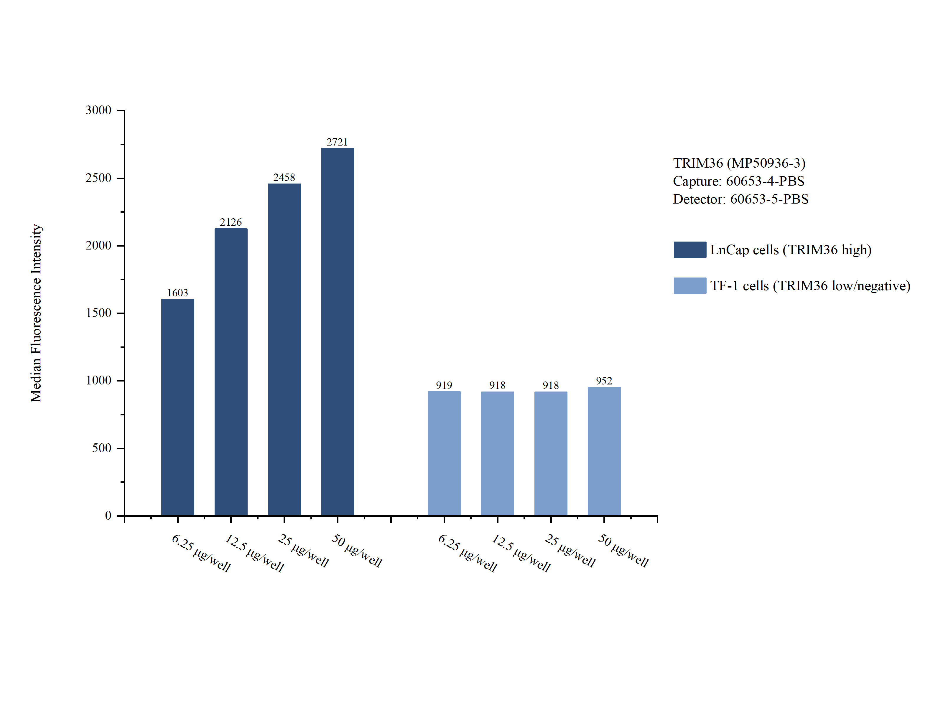 Cytometric bead array sample test of MP50936-3, TRIM36 Monoclonal Matched Antibody Pair, PBS Only. Capture antibody: 60653-4-PBS. Detection antibody: 60653-5-PBS. 