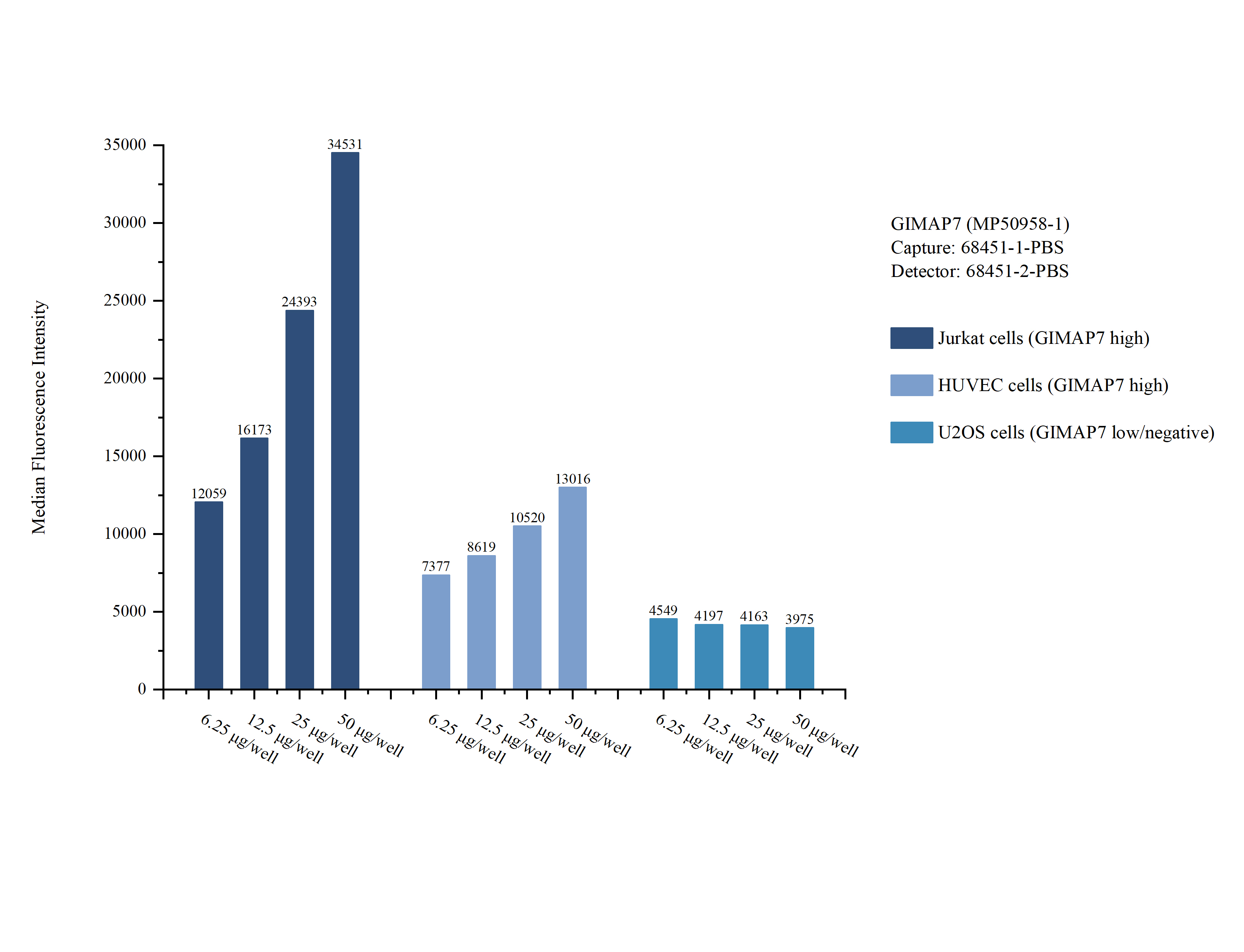 Cytometric bead array sample test of <a class='green' href='/productredirect?CatalogNo=MP50958-1' target='_blank'>MP50958-1</a>, GIMAP7 Monoclonal Matched Antibody Pair, PBS Only. Capture antibody: 68451-1-PBS. Detection antibody: <a class='green' href='/productredirect?CatalogNo=68451-2-PBS' target='_blank'>68451-2-PBS</a>. Cytometric bead array sample test of MP50958-1