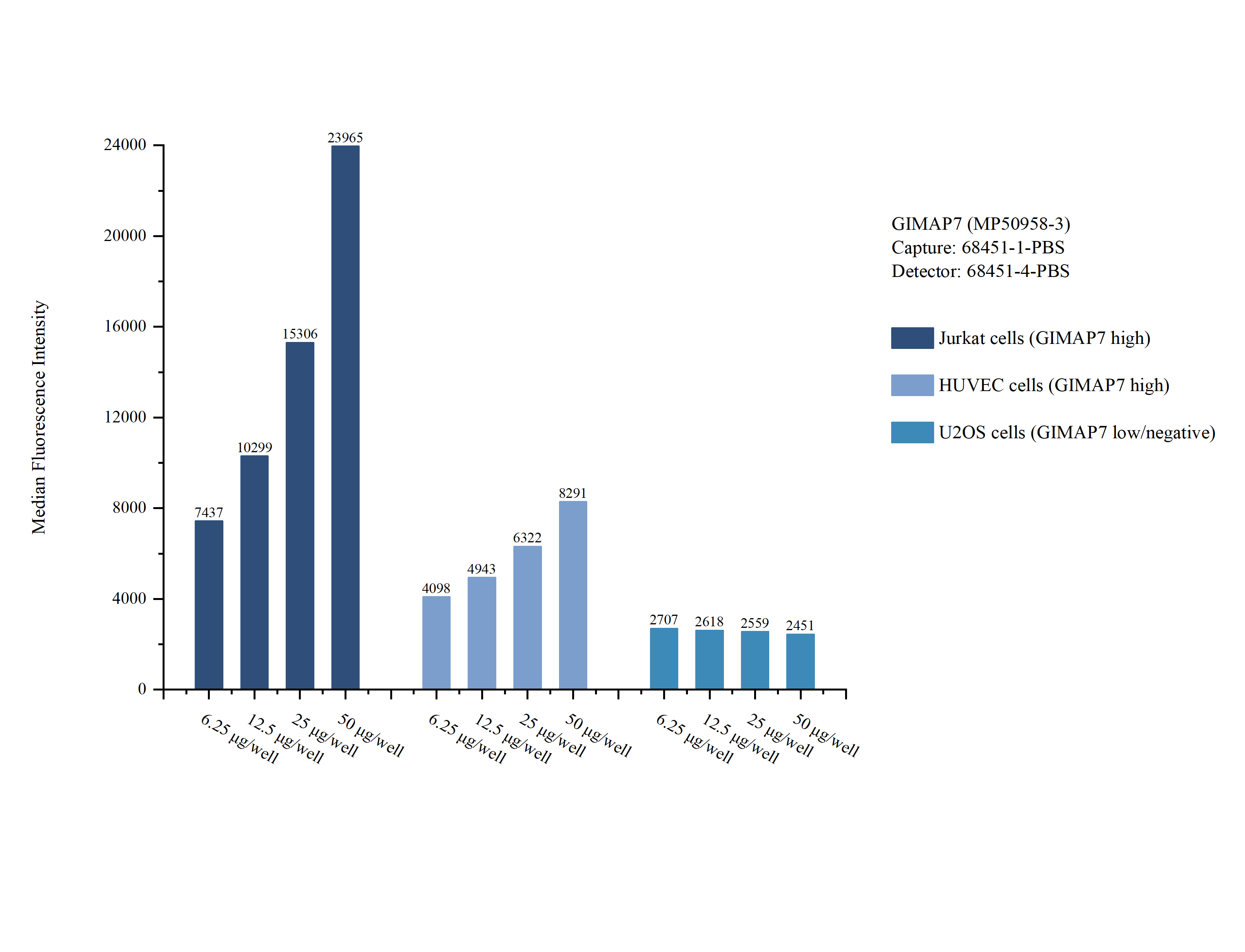 Cytometric bead array sample test of <a class='green' href='/productredirect?CatalogNo=MP50958-3' target='_blank'>MP50958-3</a>, GIMAP7 Monoclonal Matched Antibody Pair, PBS Only. Capture antibody: 68451-1-PBS. Detection antibody: <a class='green' href='/productredirect?CatalogNo=68451-4-PBS' target='_blank'>68451-4-PBS</a>. Cytometric bead array sample test of MP50958-3