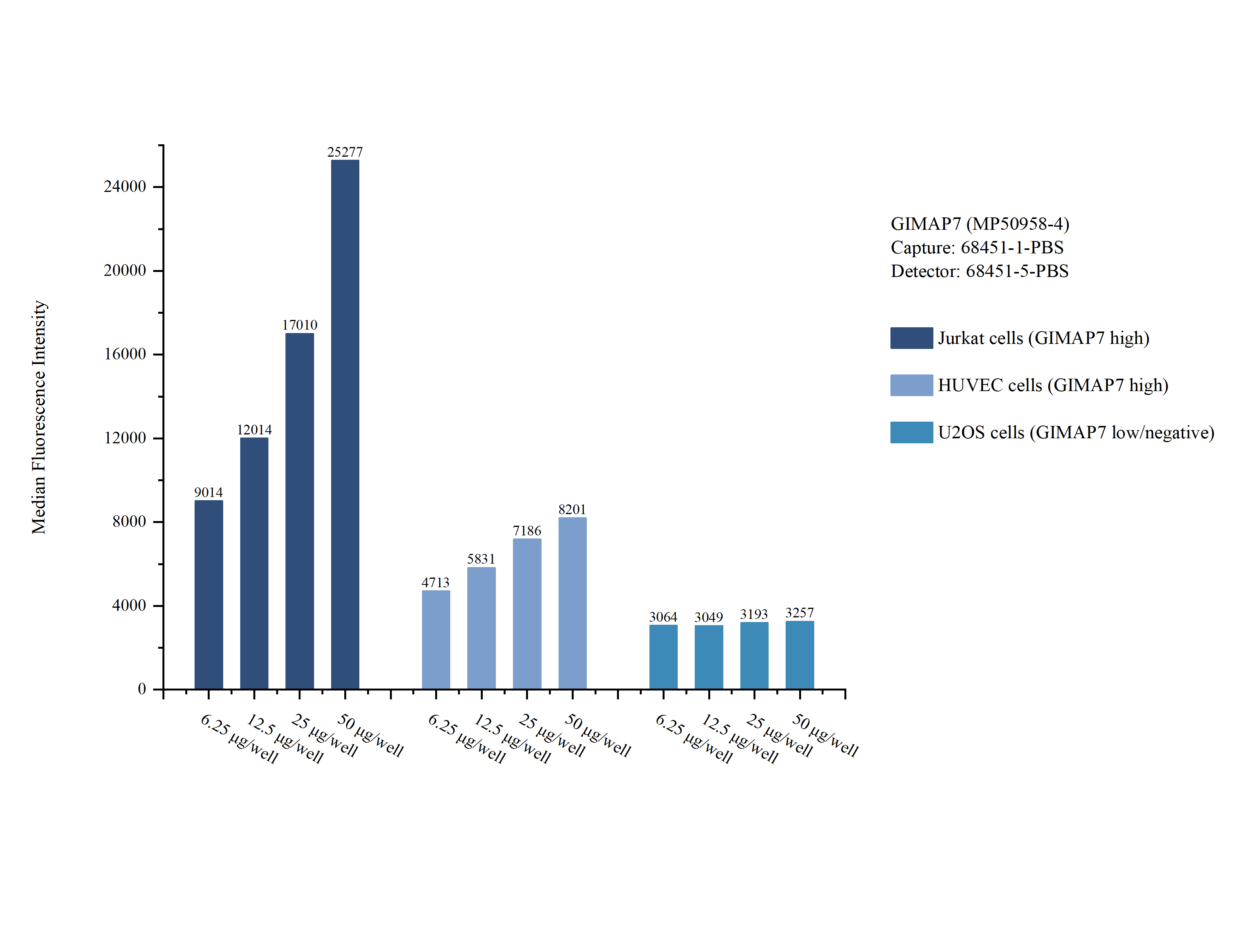 Cytometric bead array sample test of <a class='green' href='/productredirect?CatalogNo=MP50958-4' target='_blank'>MP50958-4</a>, GIMAP7 Monoclonal Matched Antibody Pair, PBS Only. Capture antibody: 68451-1-PBS. Detection antibody: <a class='green' href='/productredirect?CatalogNo=68451-5-PBS' target='_blank'>68451-5-PBS</a>. Cytometric bead array sample test of MP50958-4