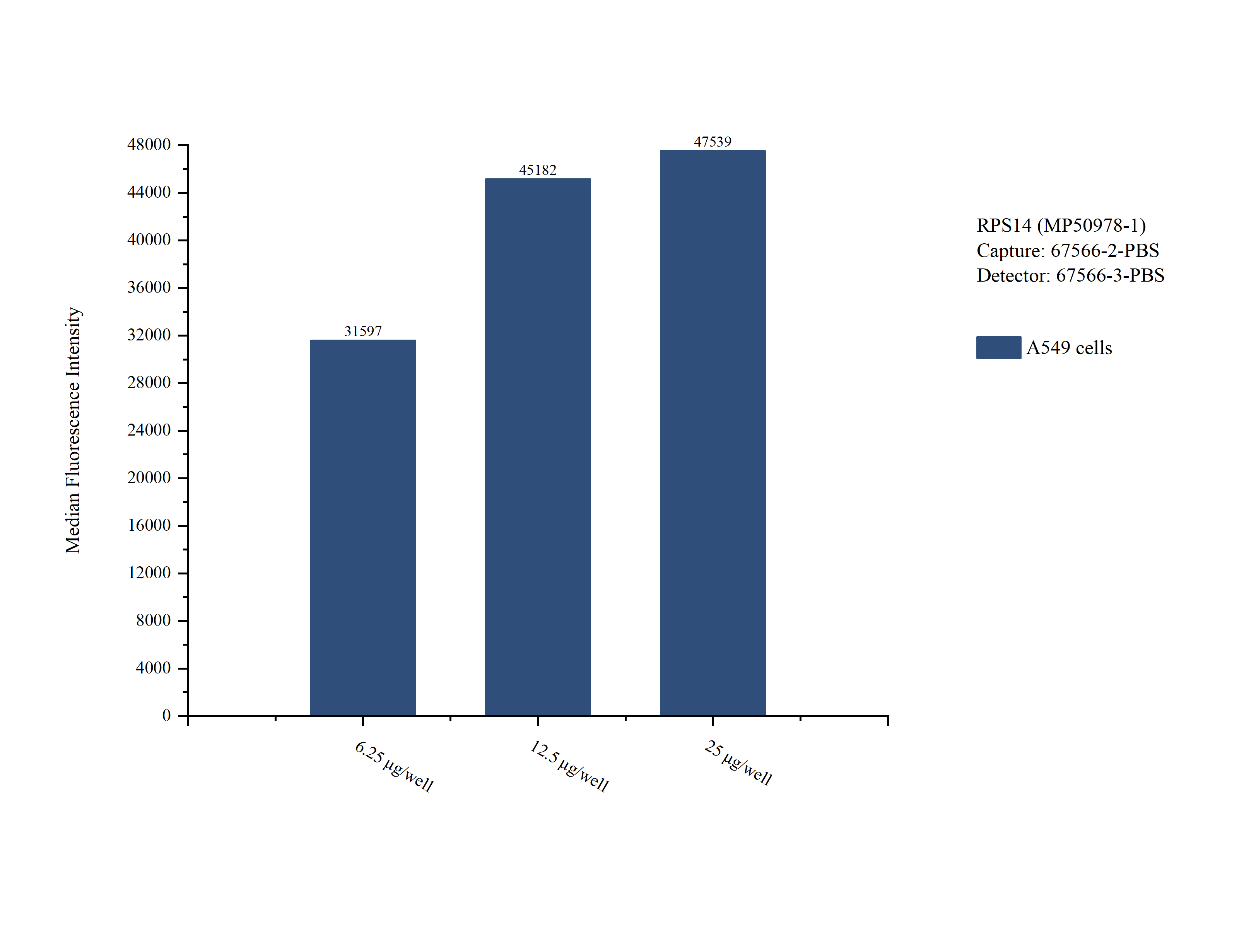Cytometric bead array sample test of MP50978-1