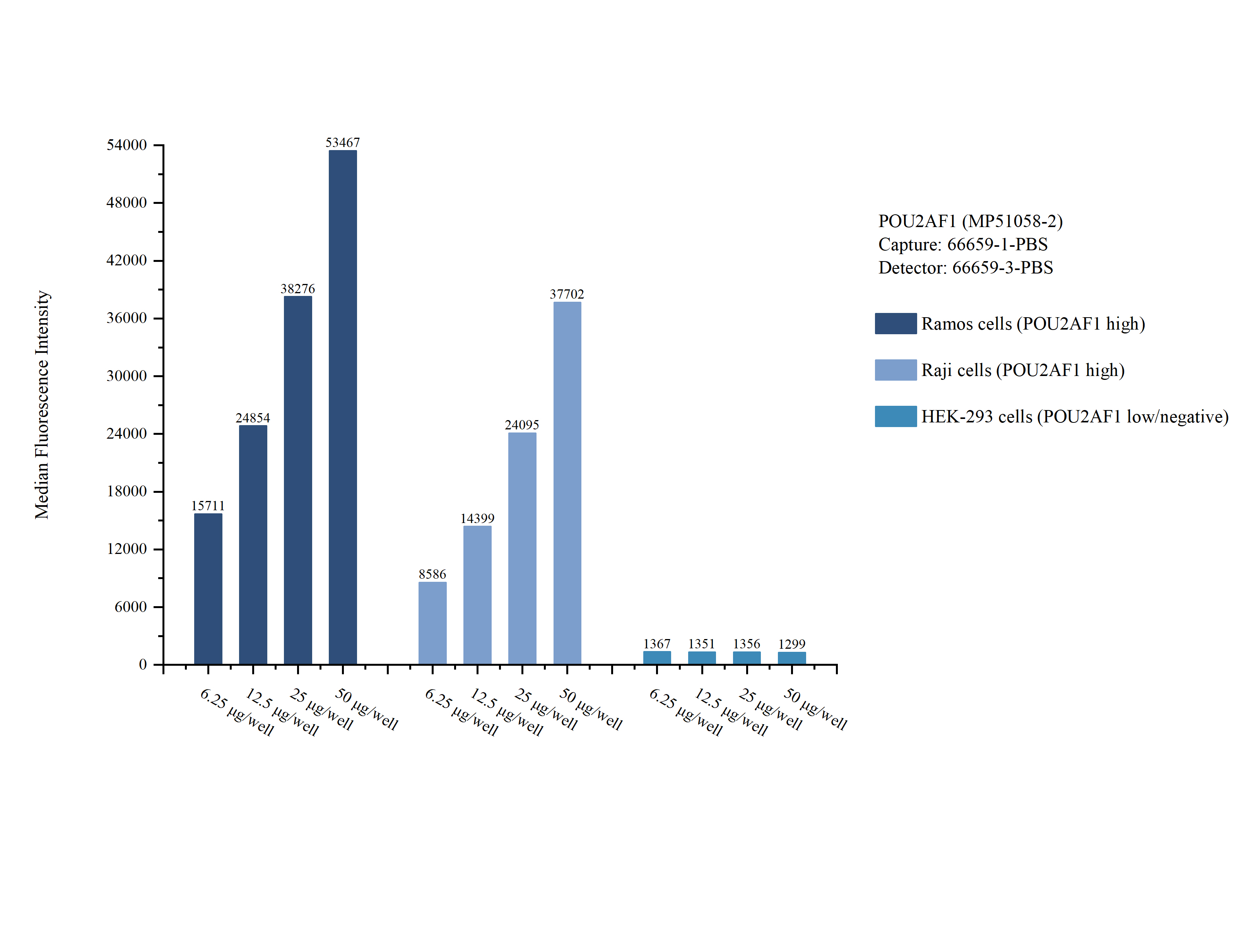 Cytometric bead array sample test of <a class='green' href='/productredirect?CatalogNo=MP51058-2' target='_blank'>MP51058-2</a>, POU2AF1 Monoclonal Matched Antibody Pair, PBS Only. Capture antibody: 66659-1-PBS. Detection antibody: <a class='green' href='/productredirect?CatalogNo=66659-3-PBS' target='_blank'>66659-3-PBS</a>. Cytometric bead array sample test of MP51058-2